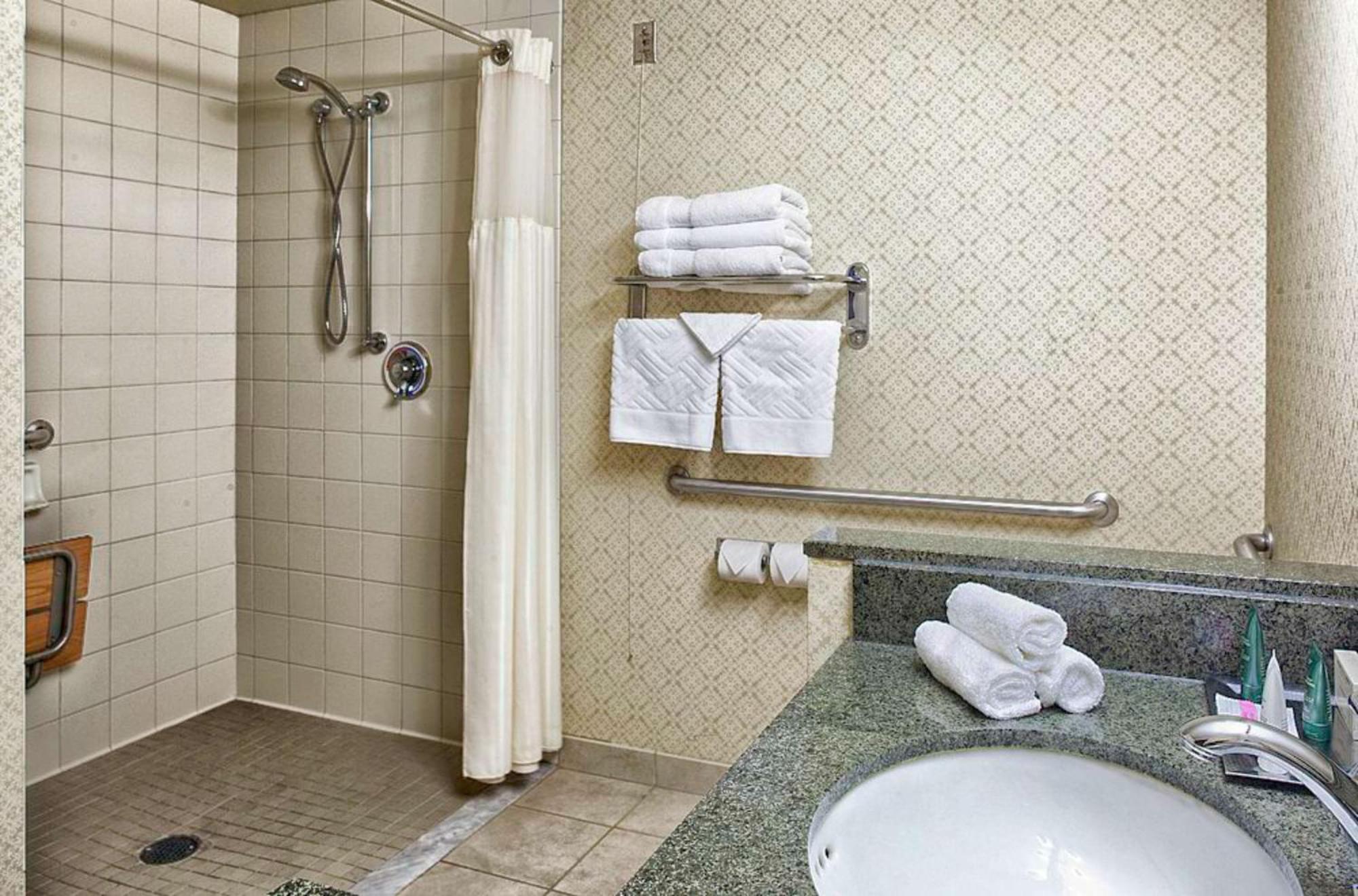 Deluxe King Suite with Roll-In Shower - Disability Access