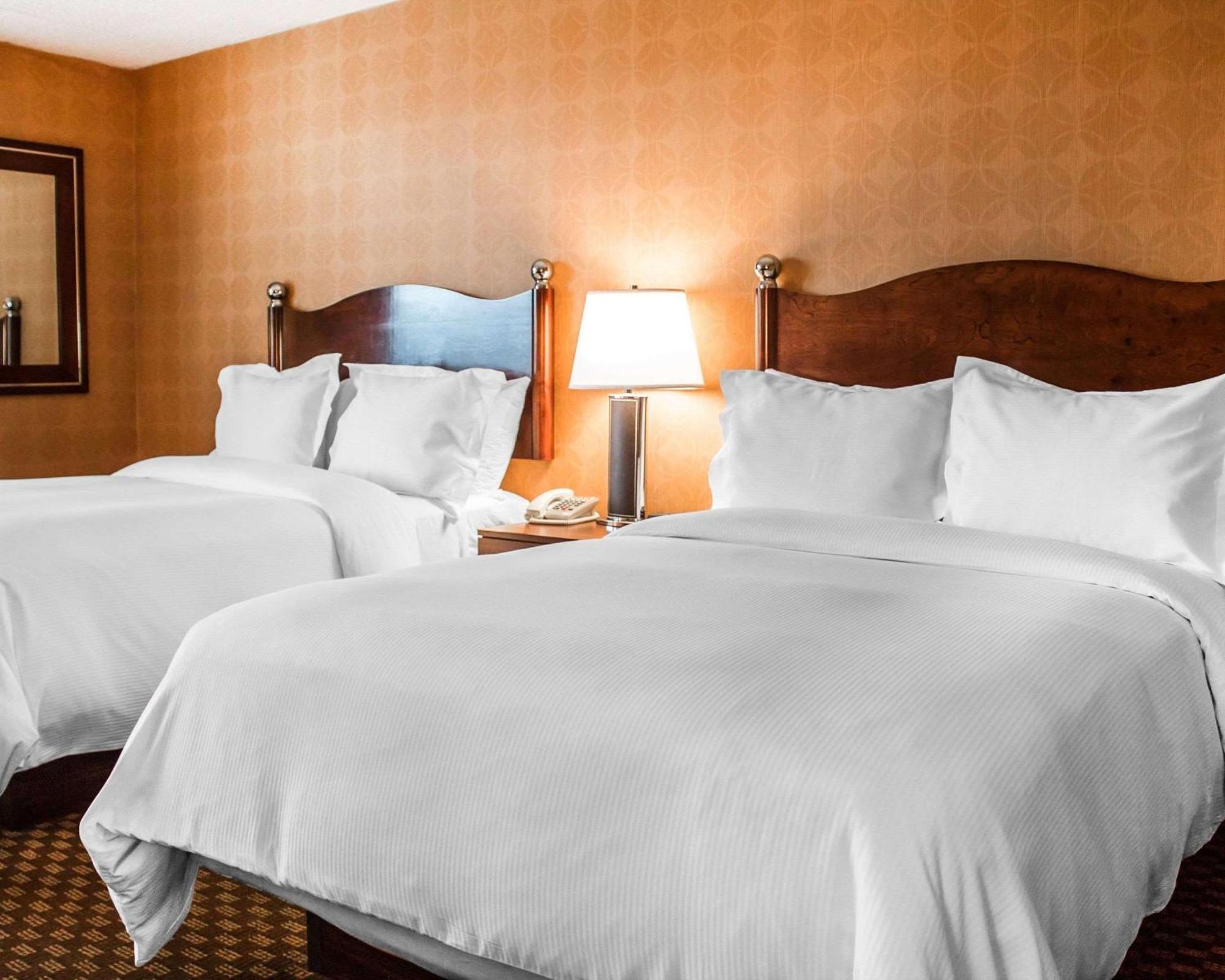 Pet Friendly Double Room - Courtyard View