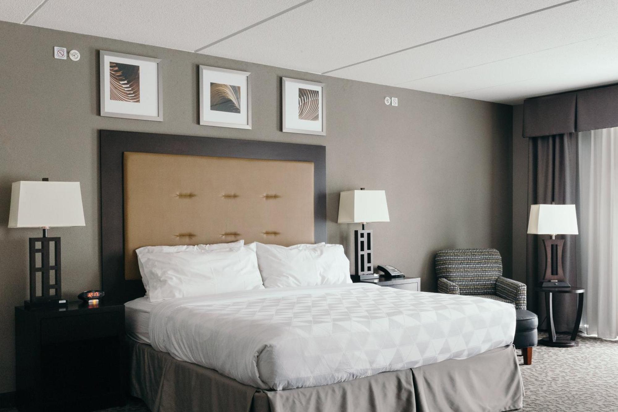 Standard King Room,1280833609:JPEG