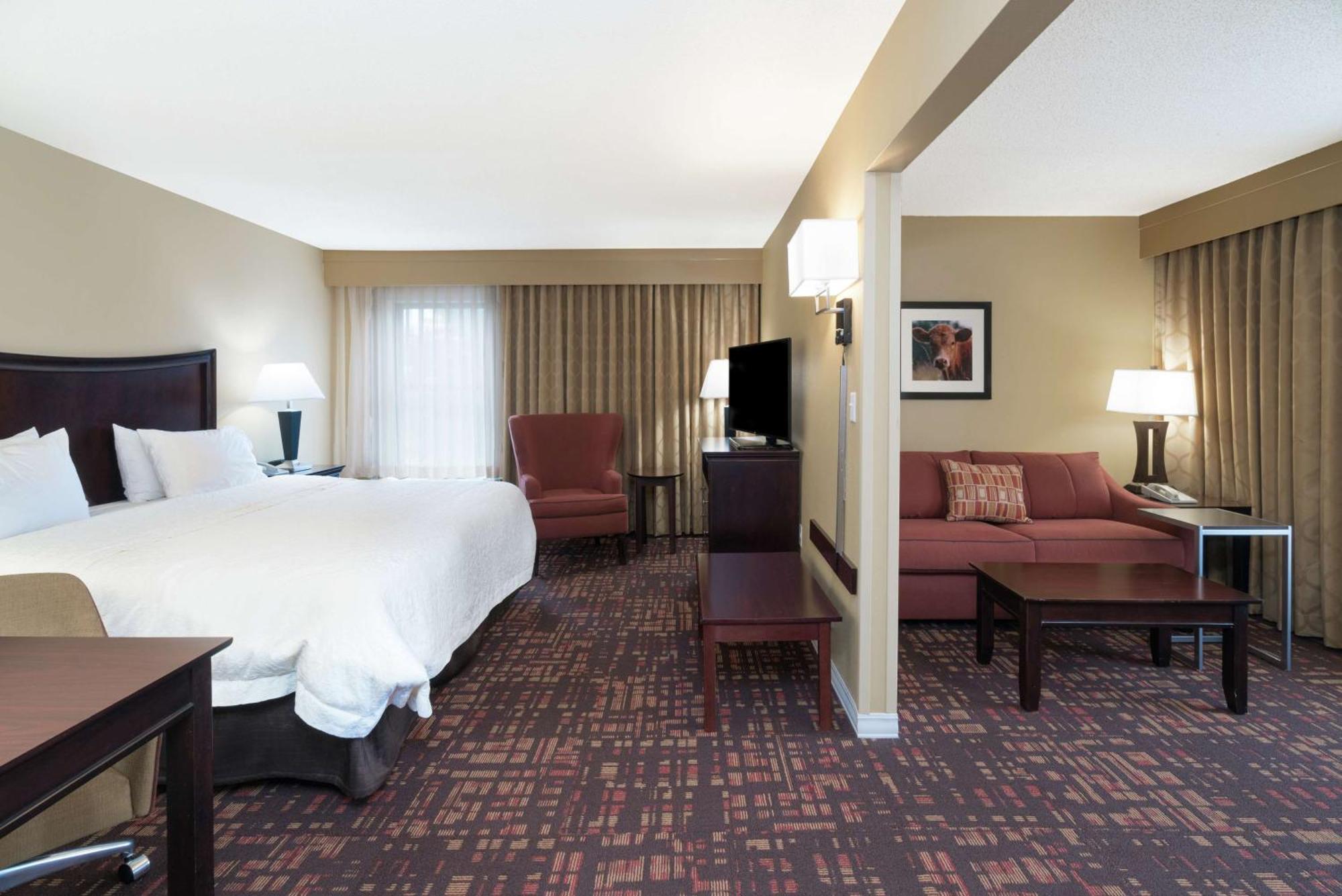 King Suite with Sofa Bed - Non-Smoking
