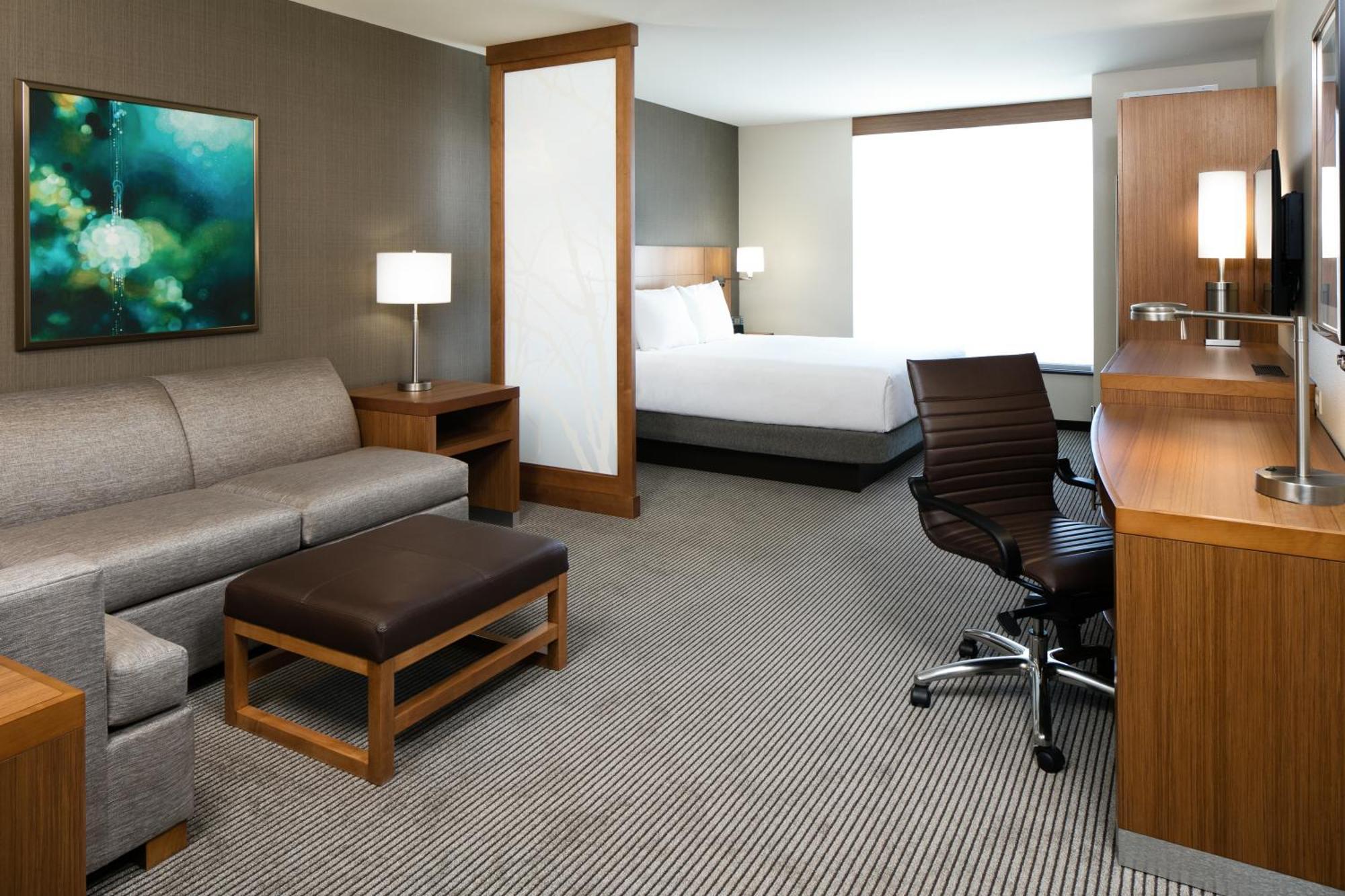 King Room with Sofa Bed and Accessible Tub - Disability Access