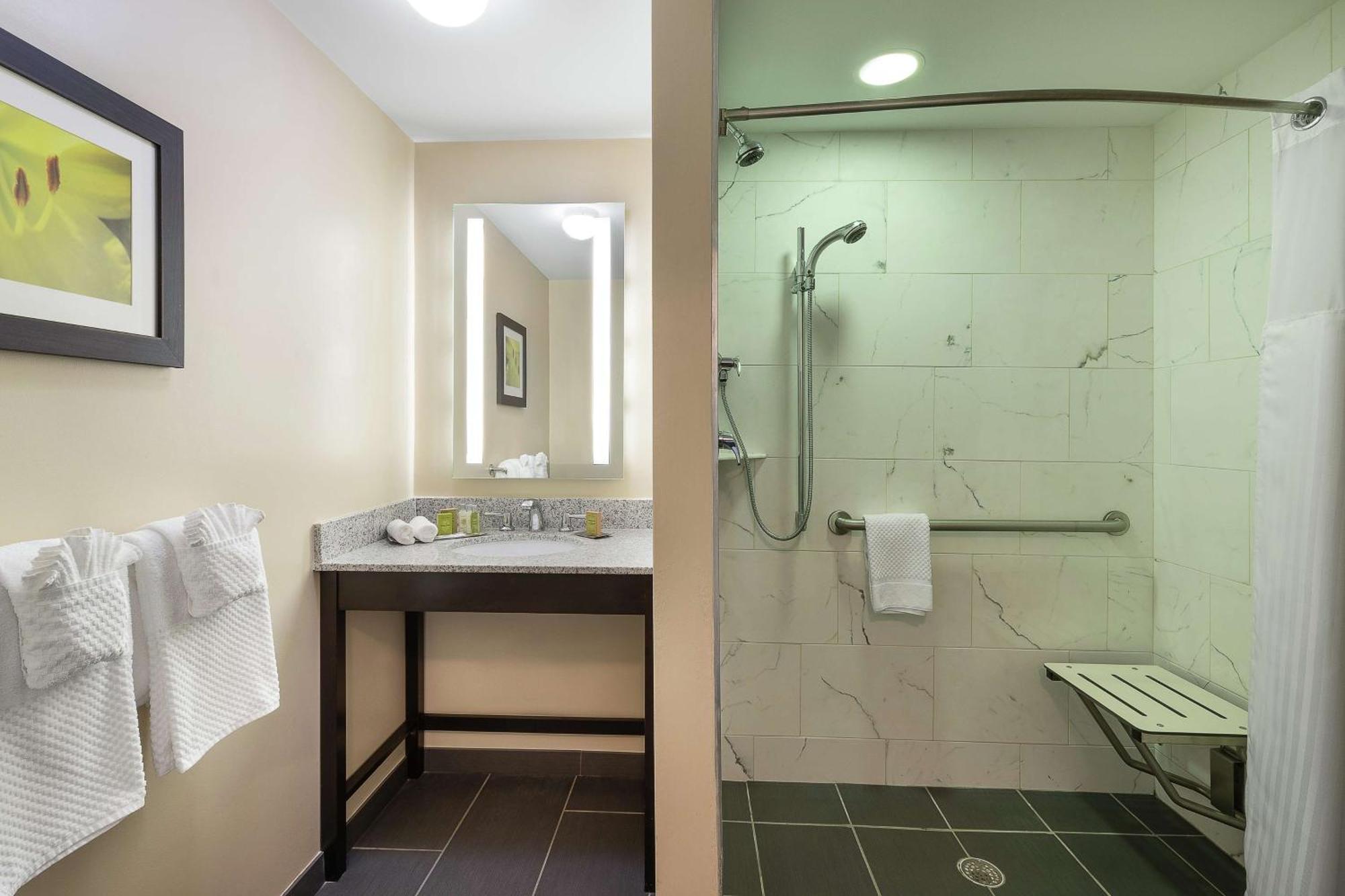 King Room with Roll-In Shower - Mobility Access/Non-Smoking