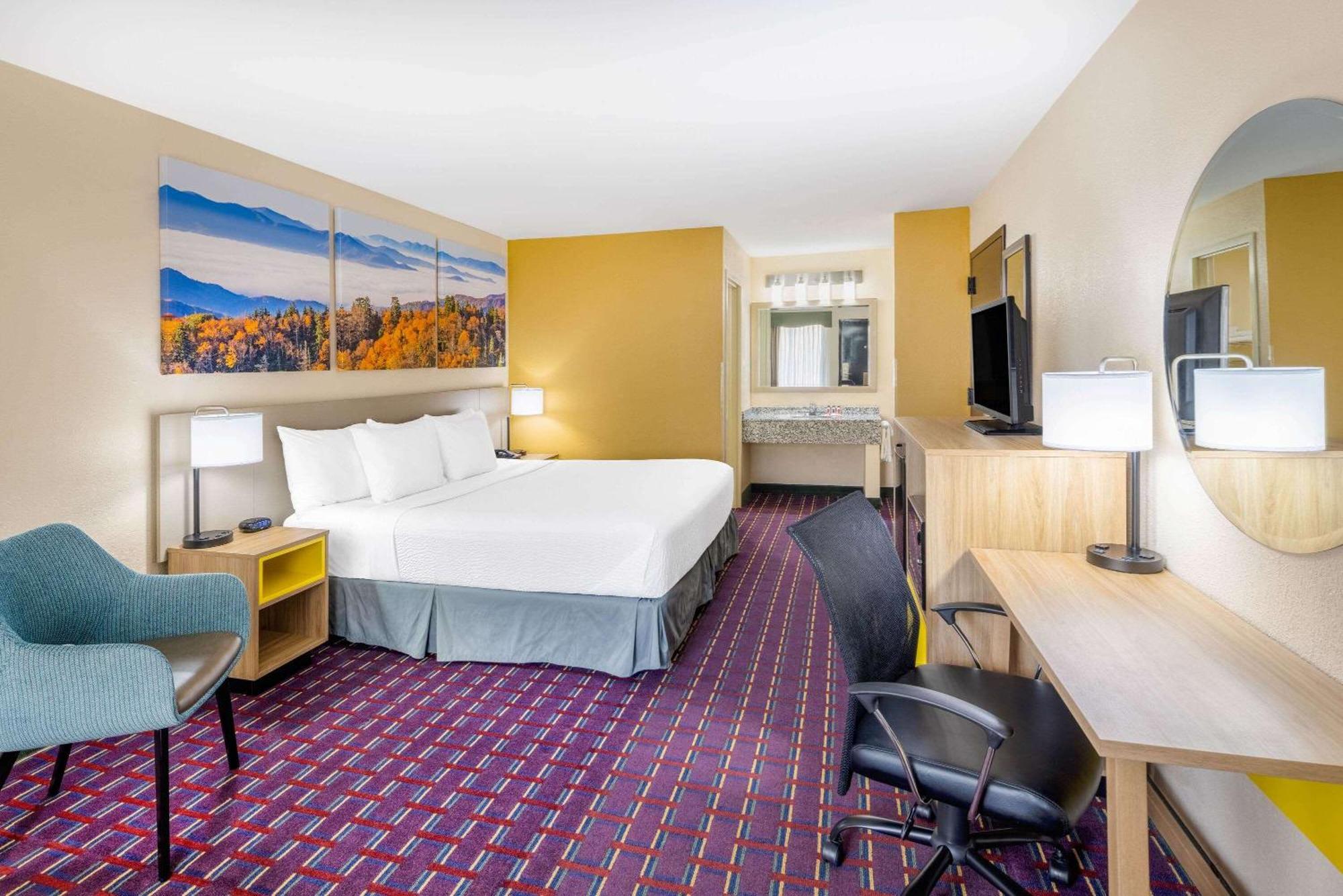 King Room - Pet Friendly/Smoking