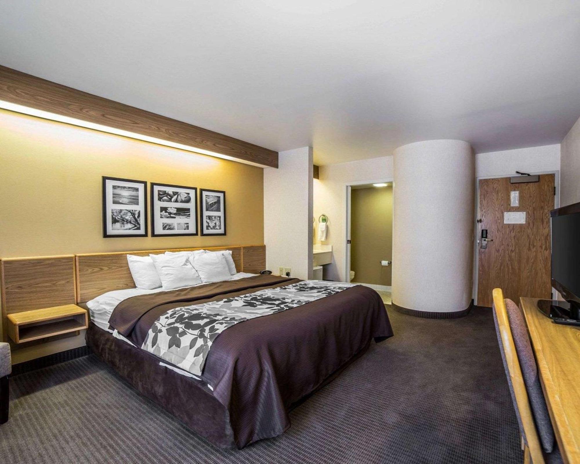 King Room - Non-Smoking