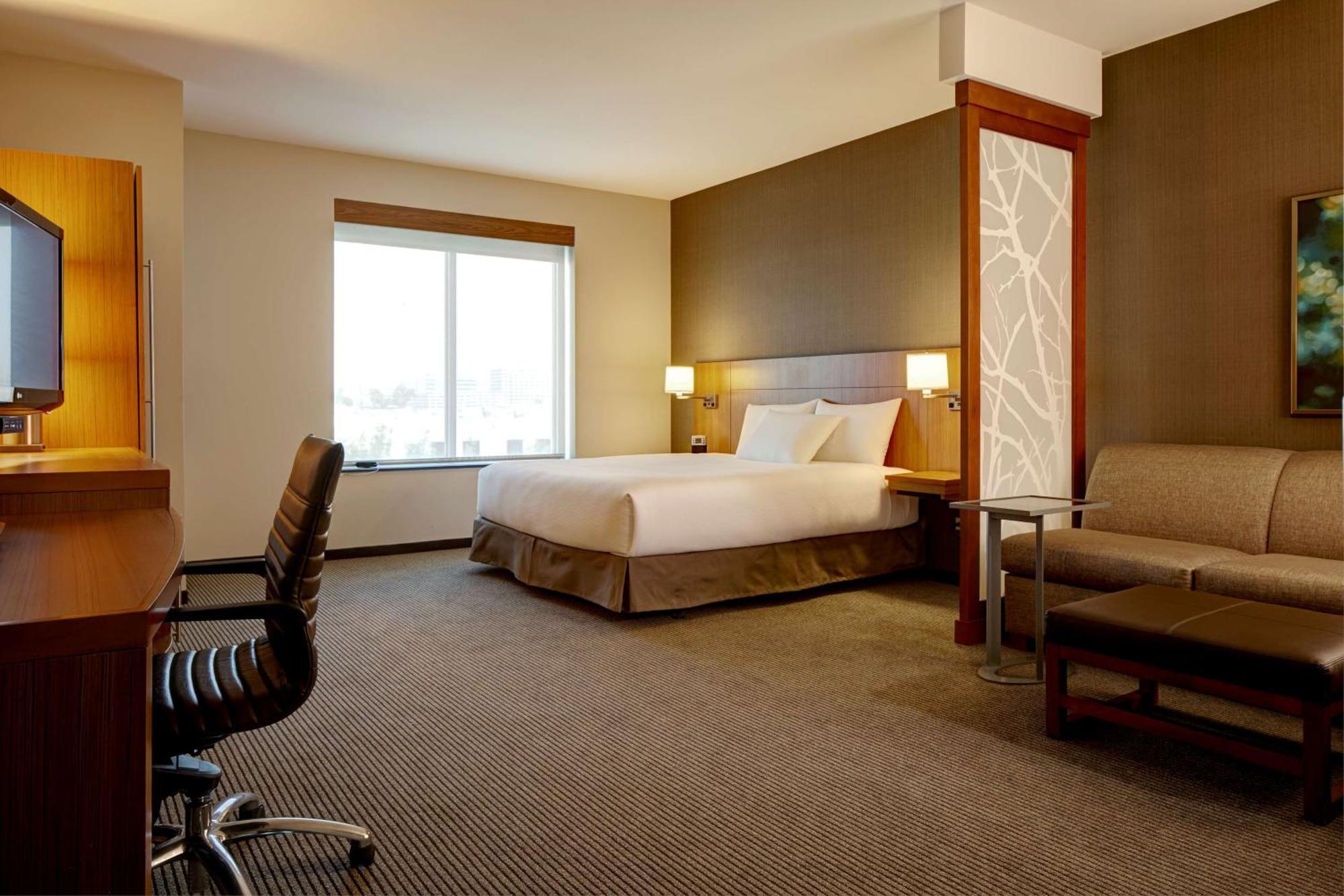 King Suite with Sofa Bed and Roll-In Shower - Disability Access,1285079479:JPEG