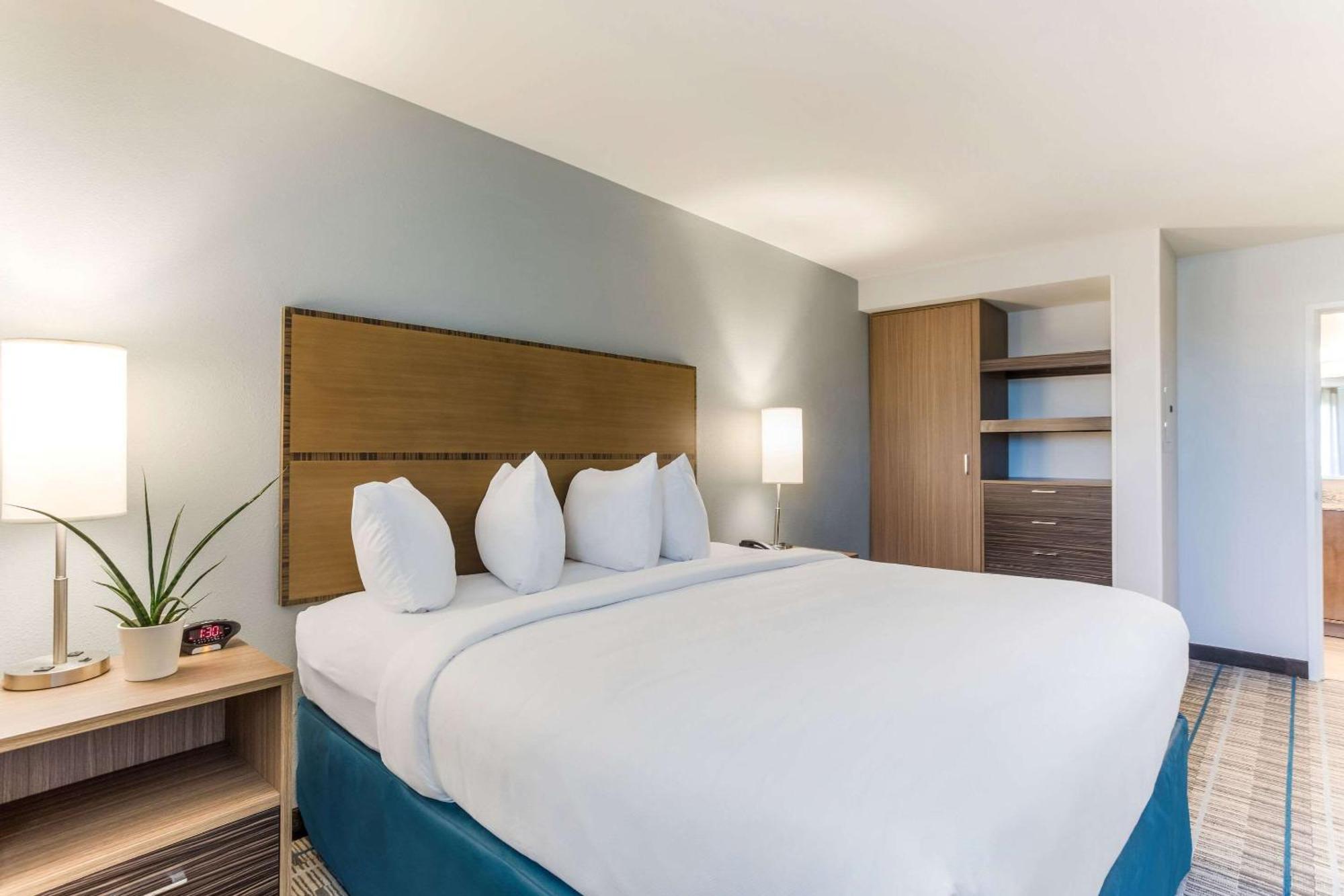 1 Bedroom Suite, 1 King Bed with Sofa bed, Non-Smoking