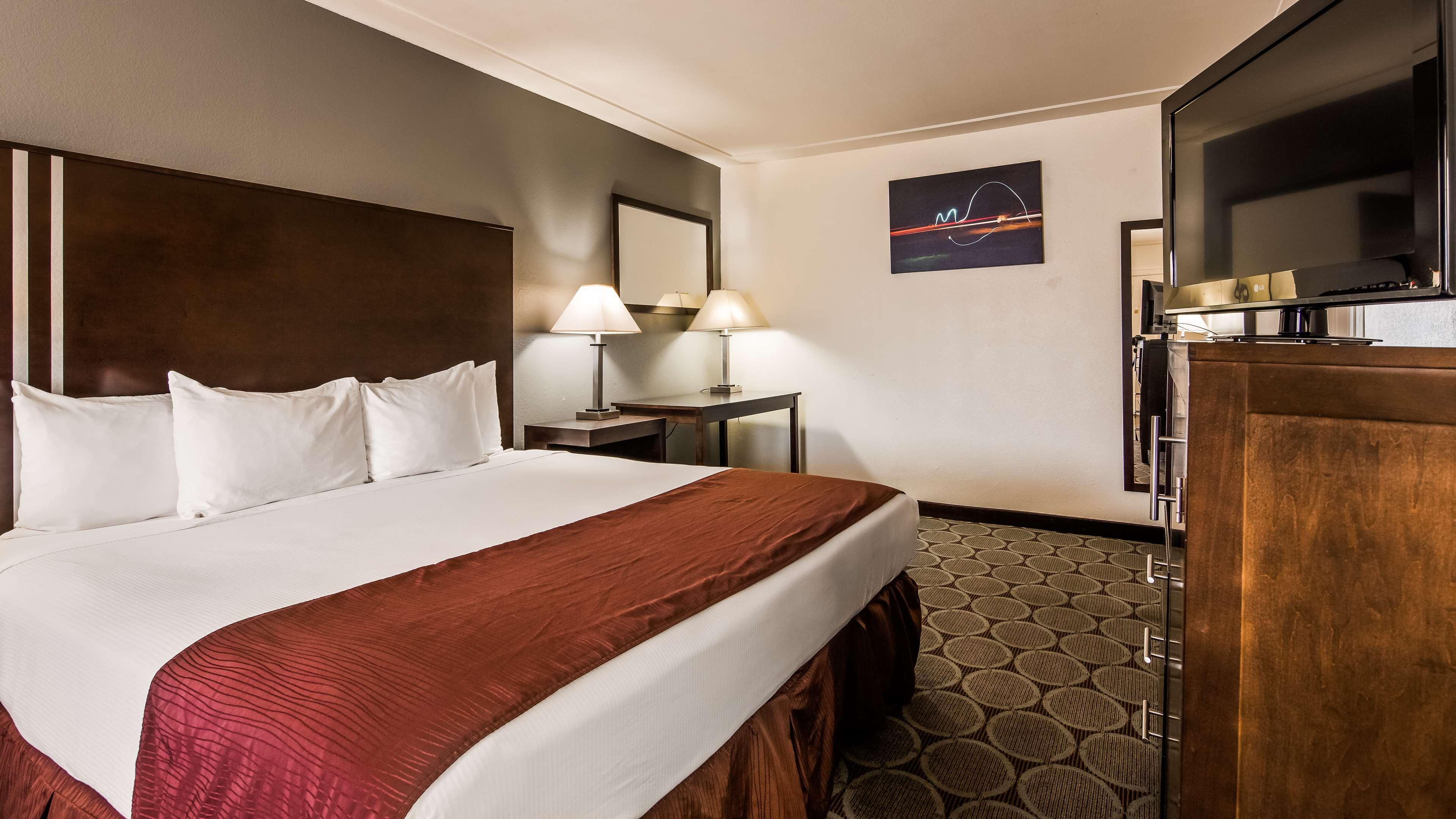 King Room - Pet Friendly