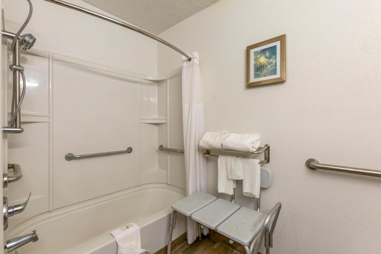 King Room with Roll-In Shower - Accessible/Non Smoking,1451320894:JPEG