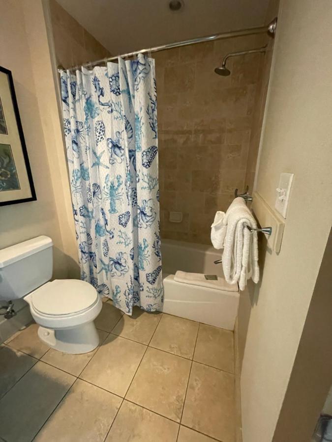 Studio Suite, City View