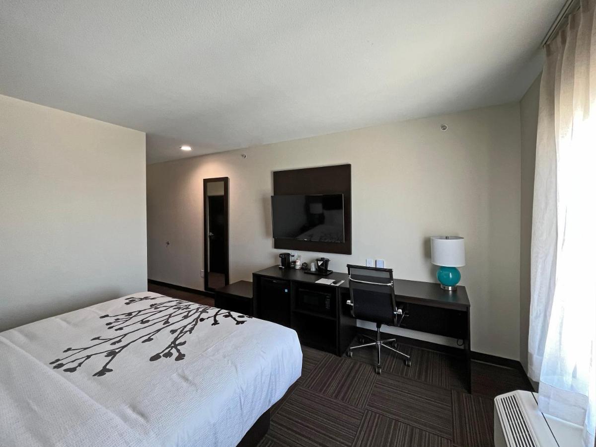 King Room - Disability Access/Non Smoking