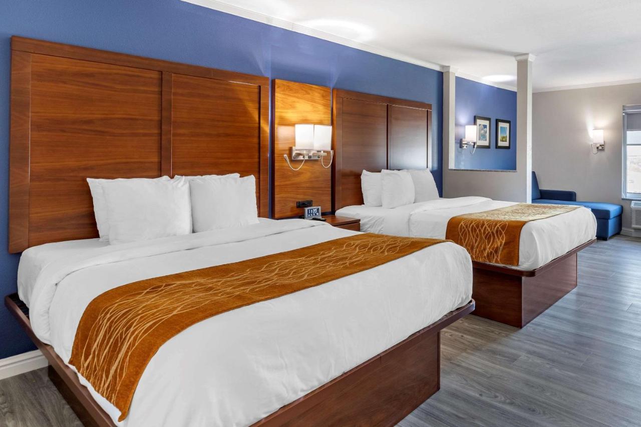 Queen Suite with Two Queen Beds - Non Smoking