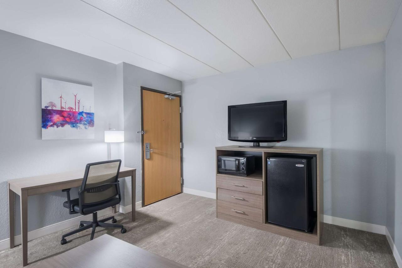 Large King Suite with Sofa Bed