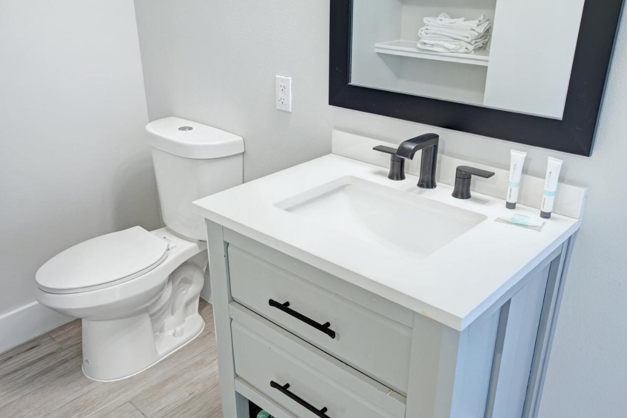 Premium Studio Treetops