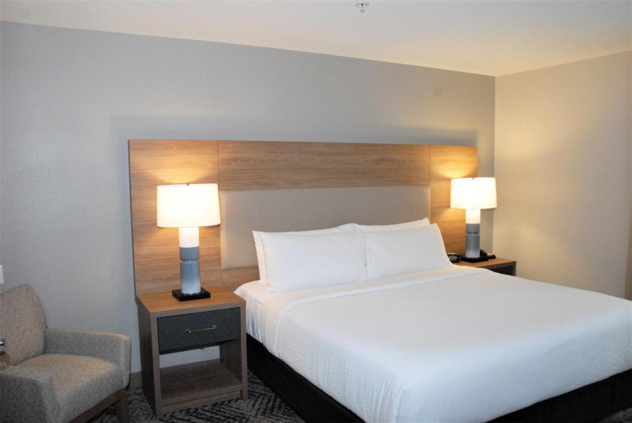 King Studio Suite