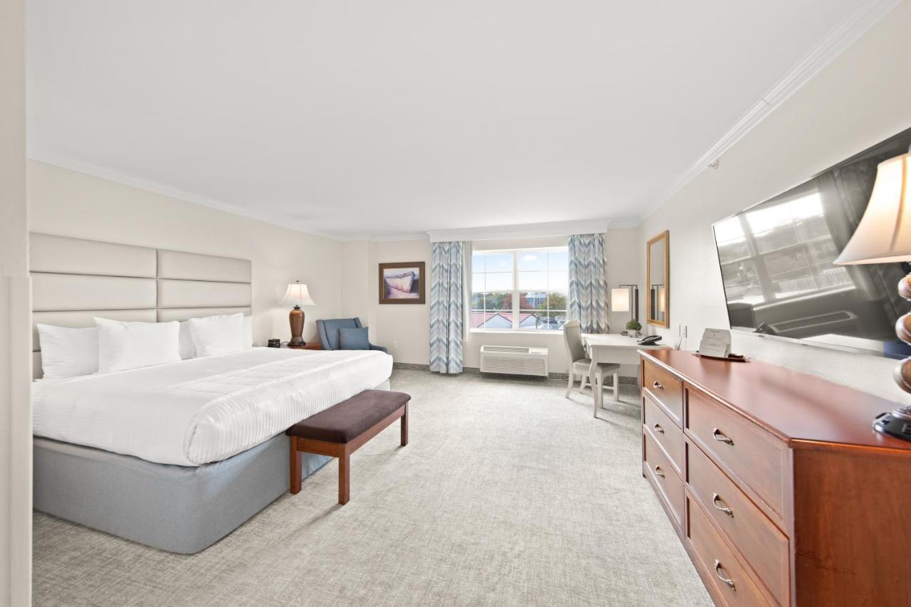 King Room with Pool View,1340897342:JPEG