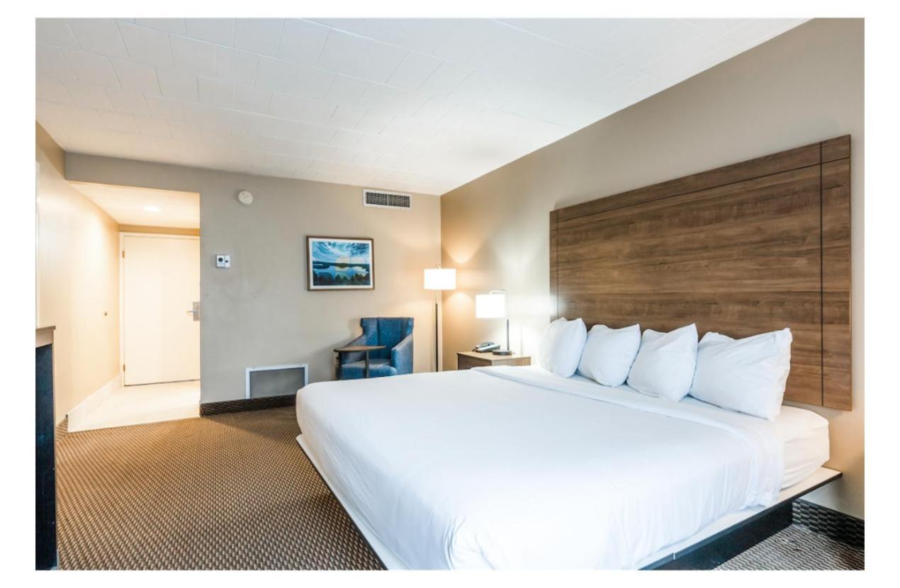 Standard King Room,1354072811:JPEG