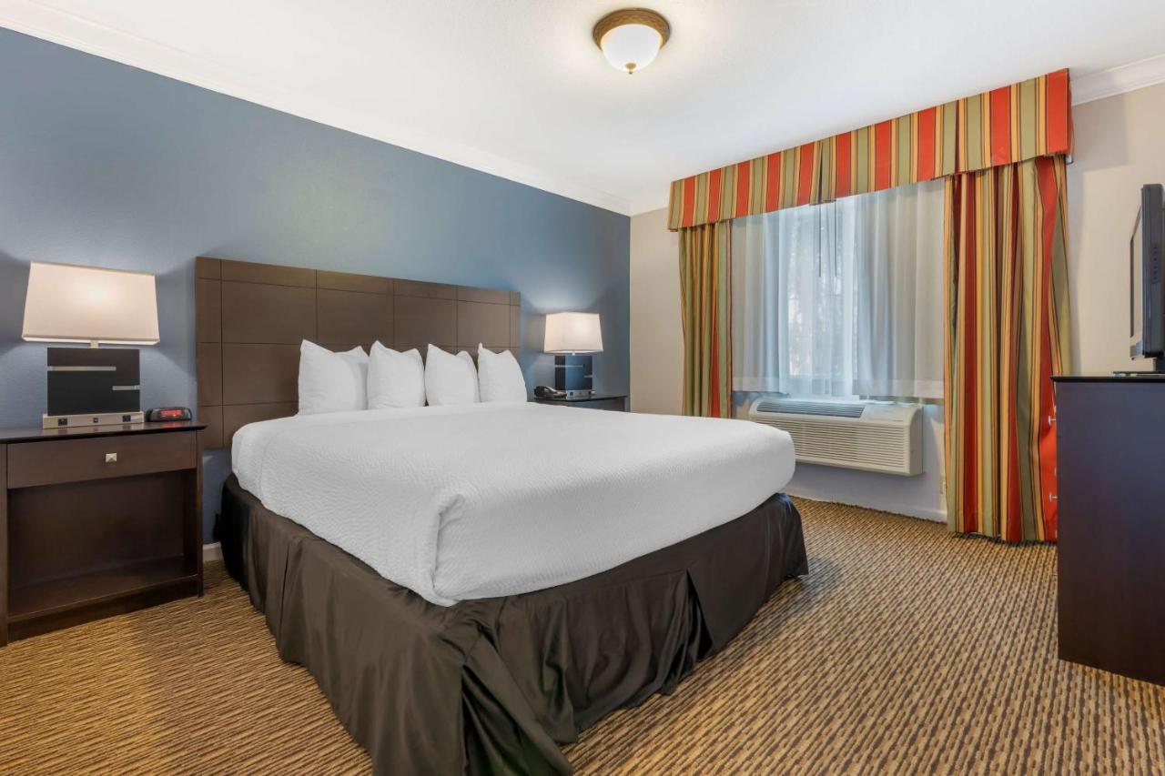 One-Bedroom King Suite,1365159992:JPEG