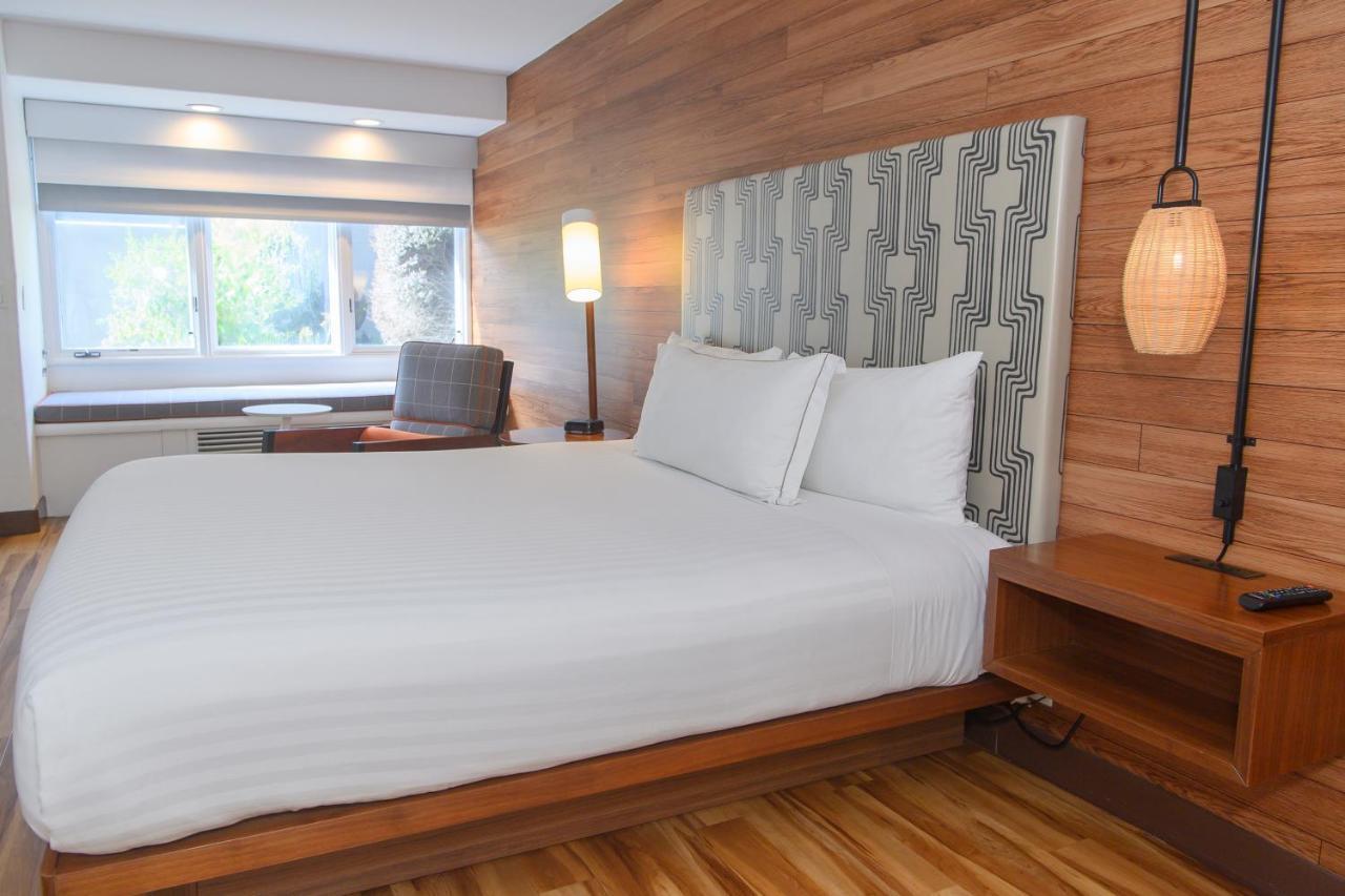 King Room - Disability Access,1370522933:JPEG