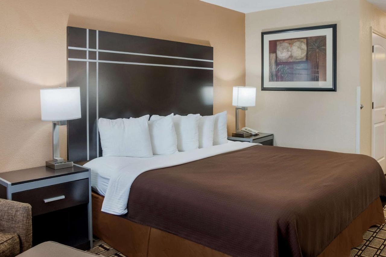 King Room,1705756584:JPEG