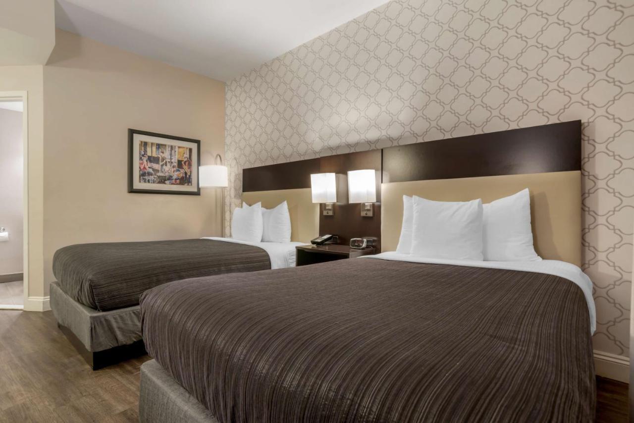 Double Room with Two Double Beds - Accessible,1393780091:JPEG