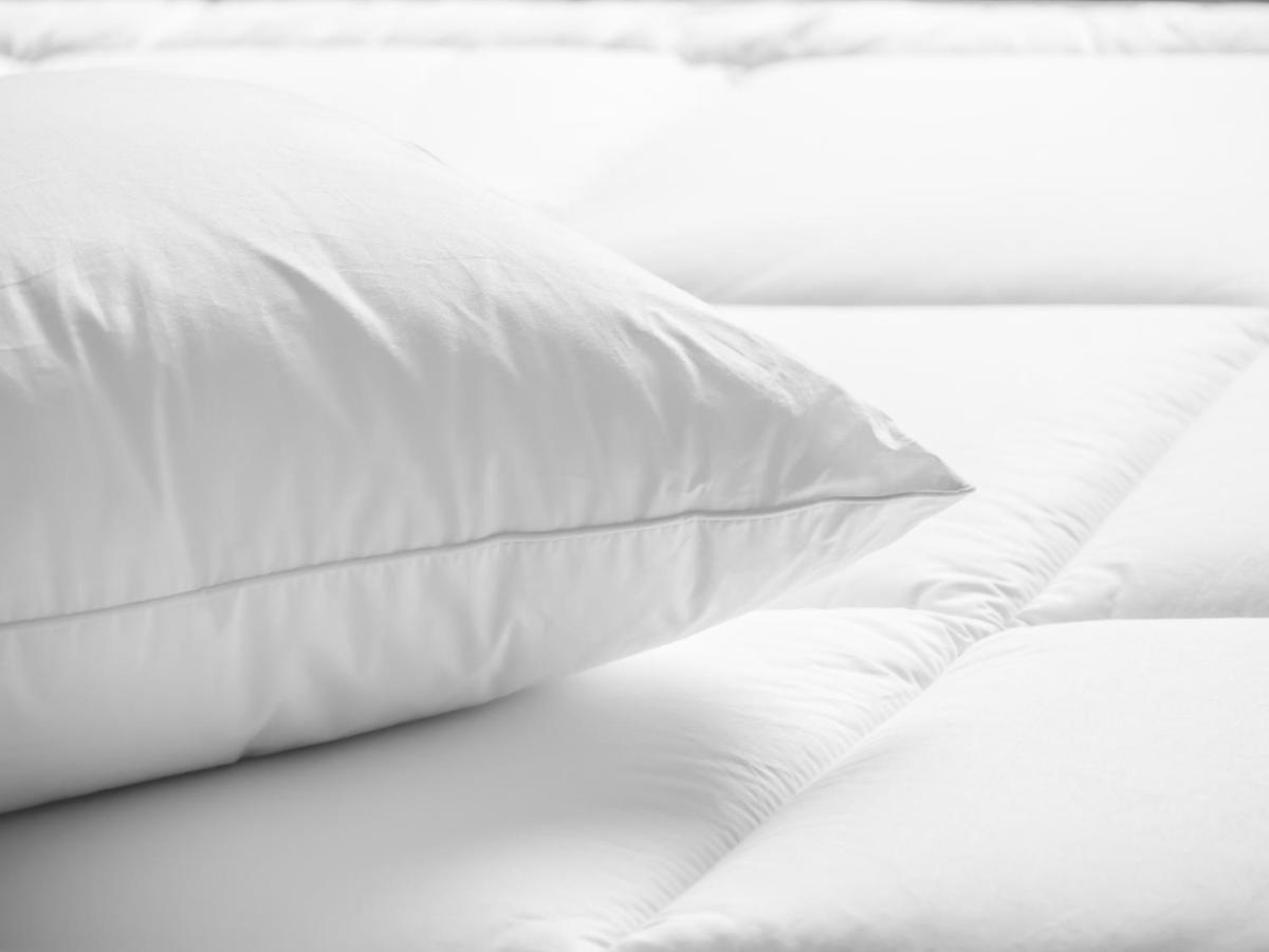 Guest room, 2 Double