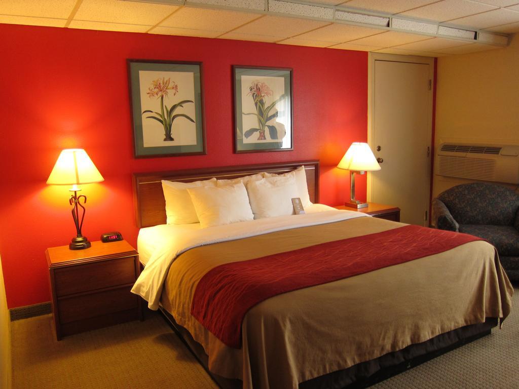 King Room - Non-Smoking