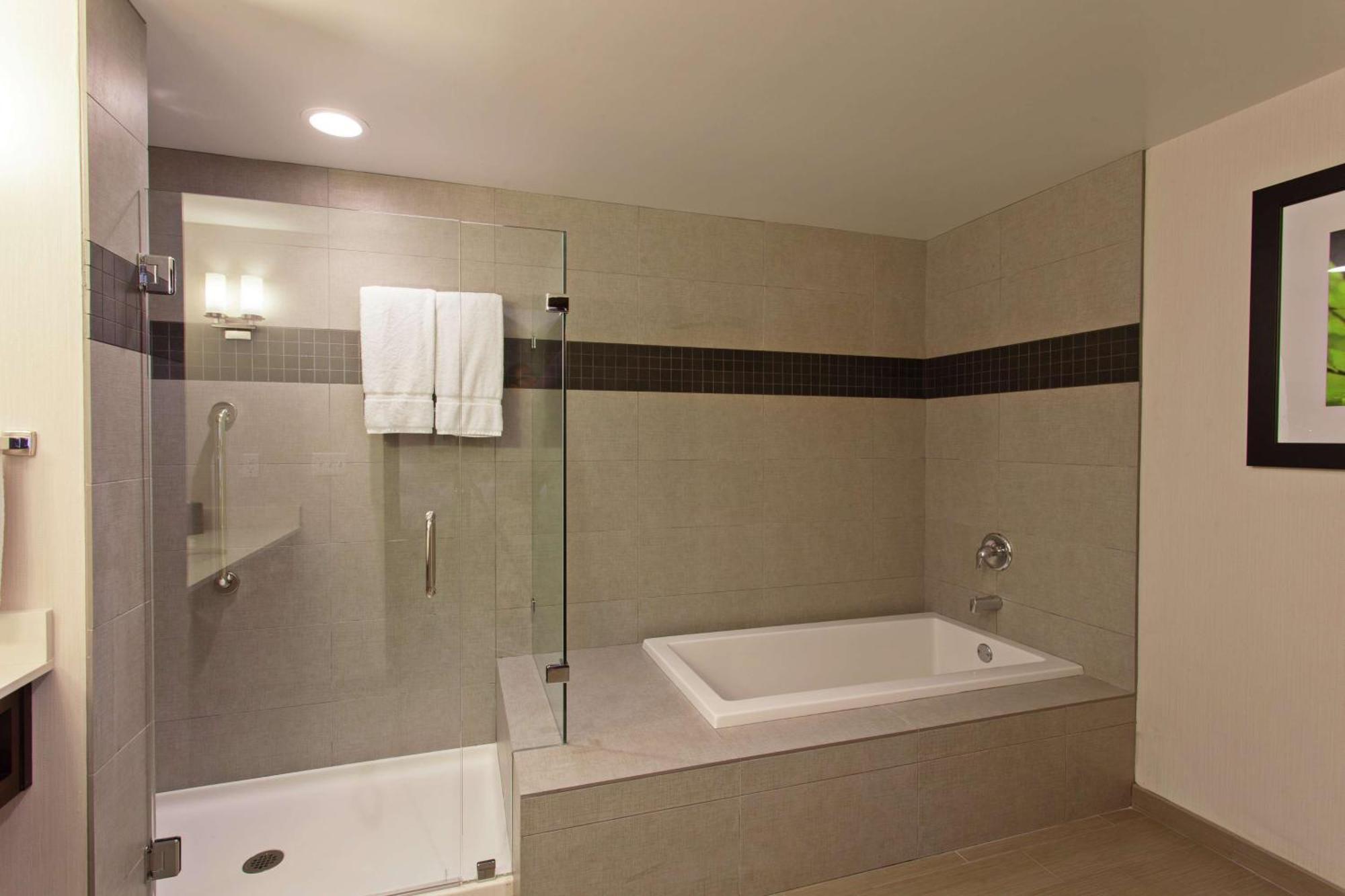 One-Bedroom King Suite