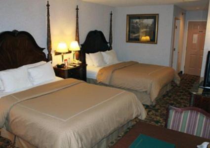 One-Bedroom Suite with Sofa Bed - Non-Smoking