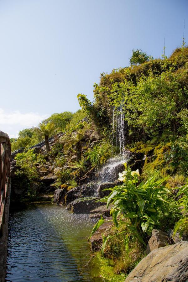 Double Room with Garden View,1498514707:JPEG