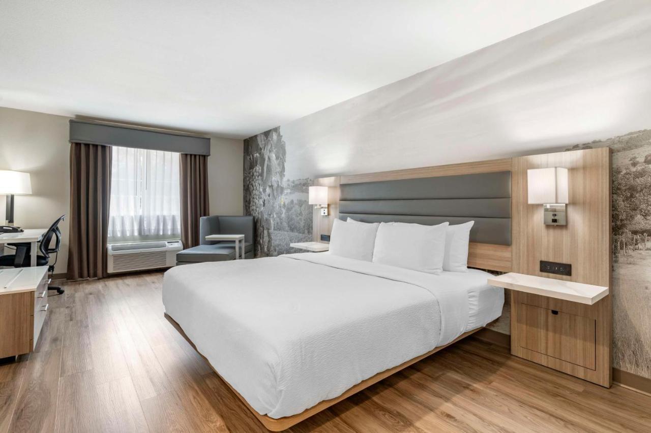 Standard King Room