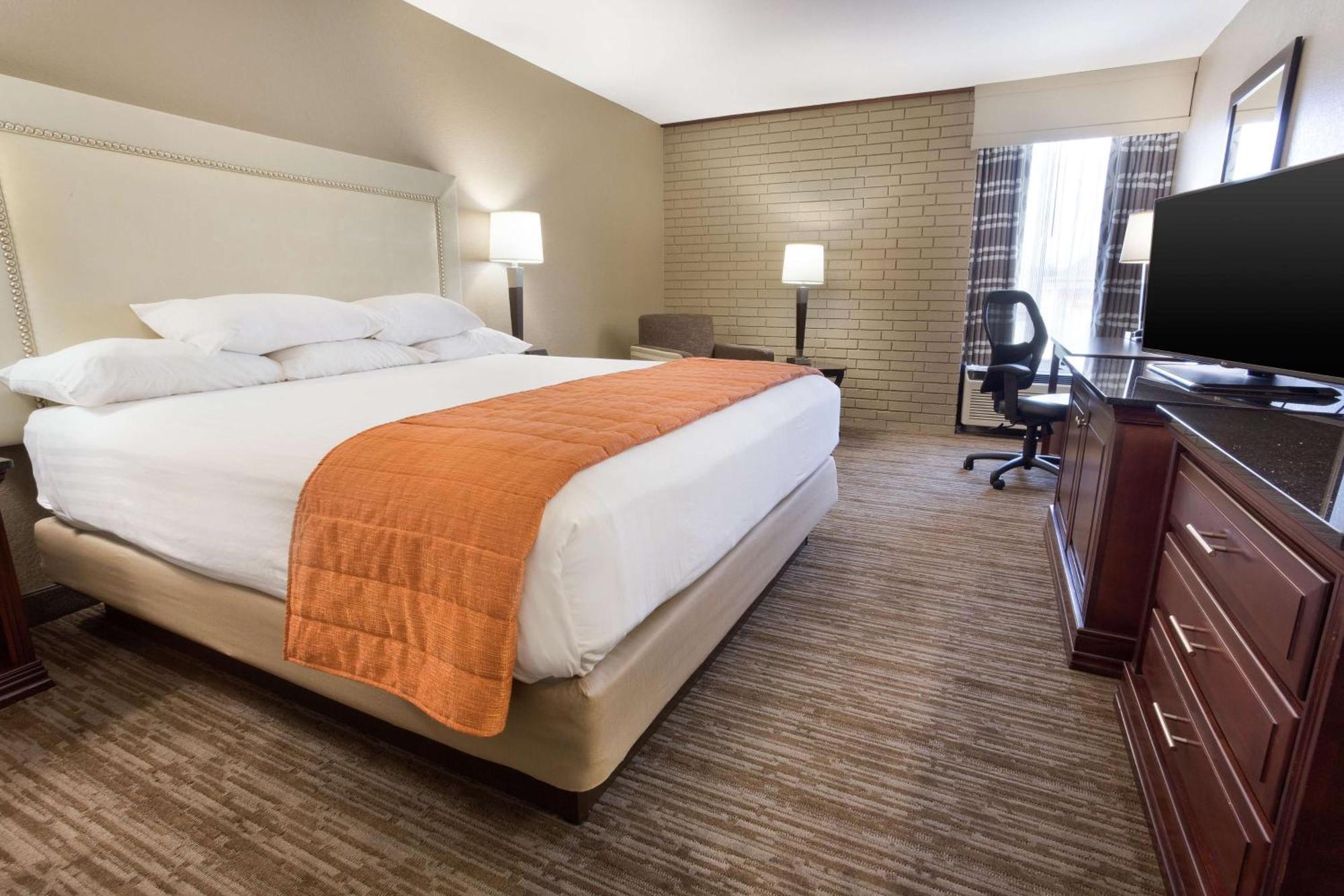 Superior King Room,1649938249:JPEG