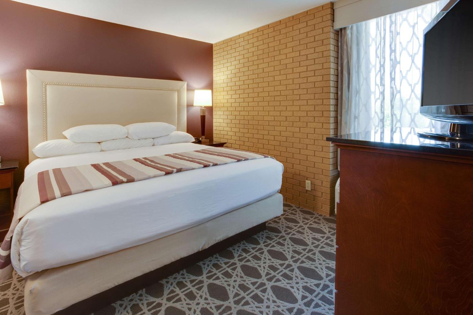 King Suite with Sofa Bed