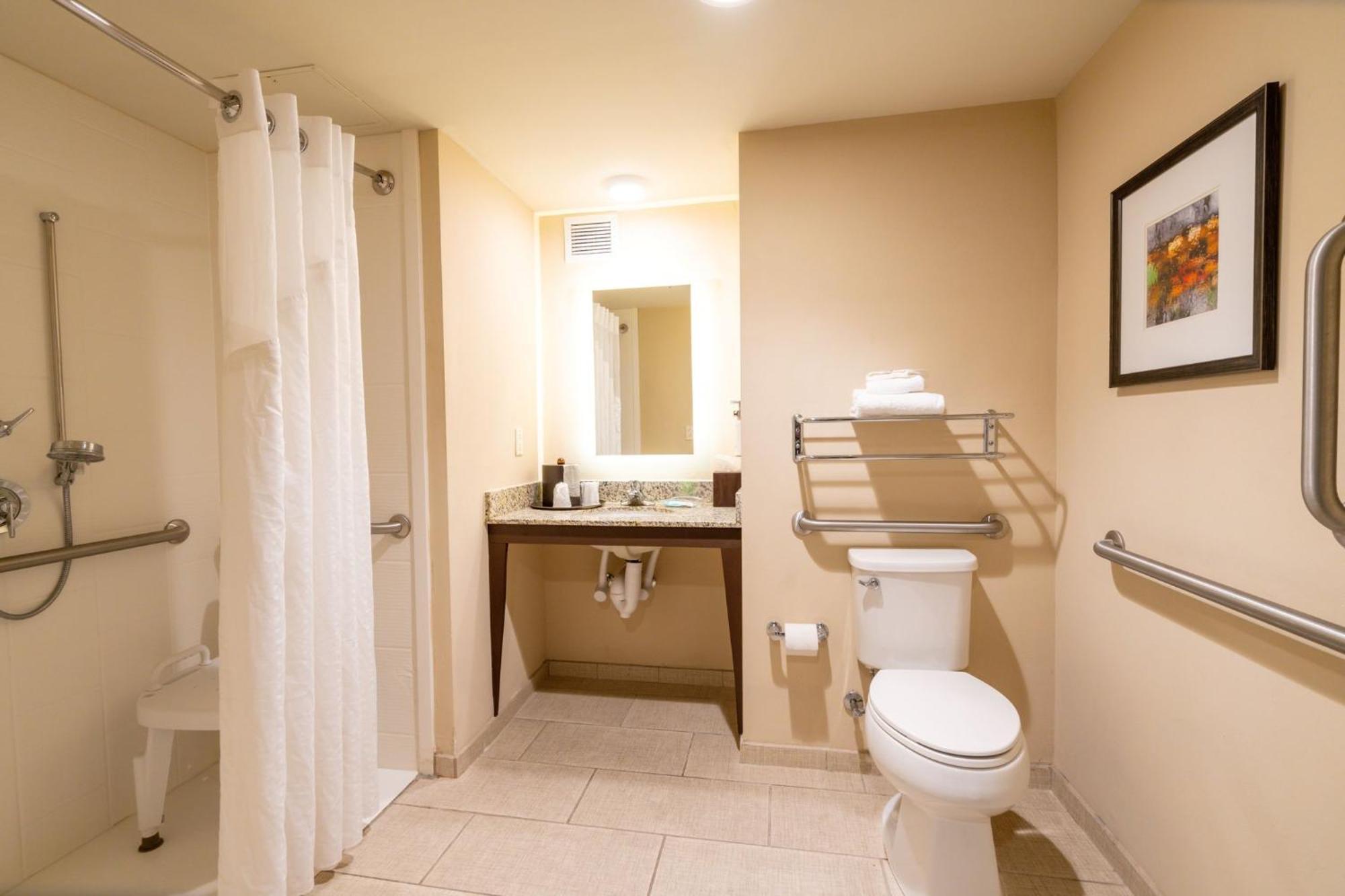 King Room - Mobility Access/Hearing Accessible