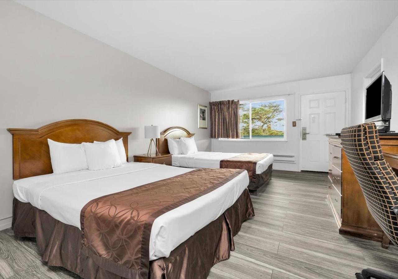 Queen Room with Two Queen Beds - Disability Access - Roll In Shower,1520027758:JPEG