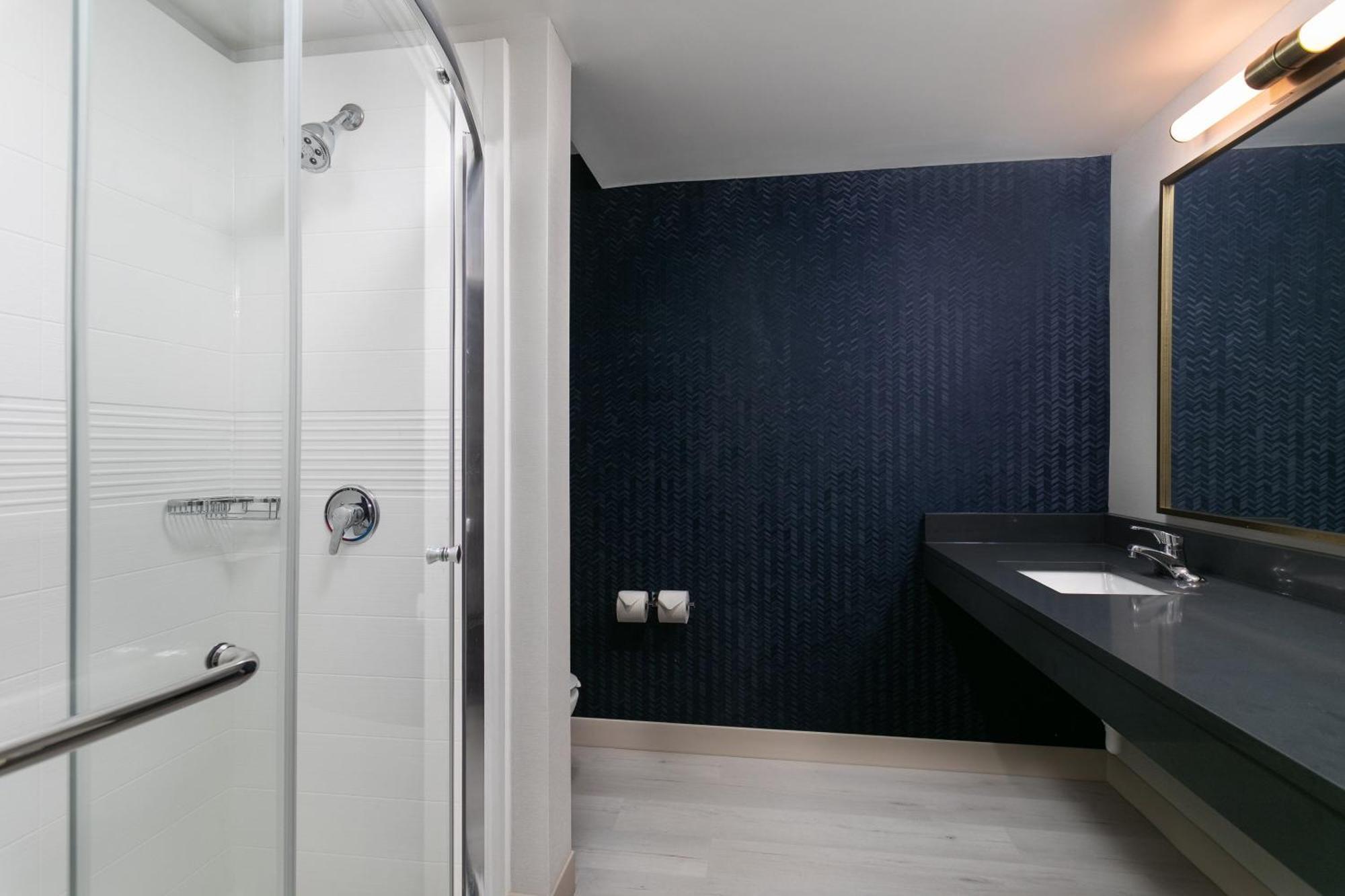 King Room with Bathtub and Sofa Bed - Mobility Access/Hearing Accessible