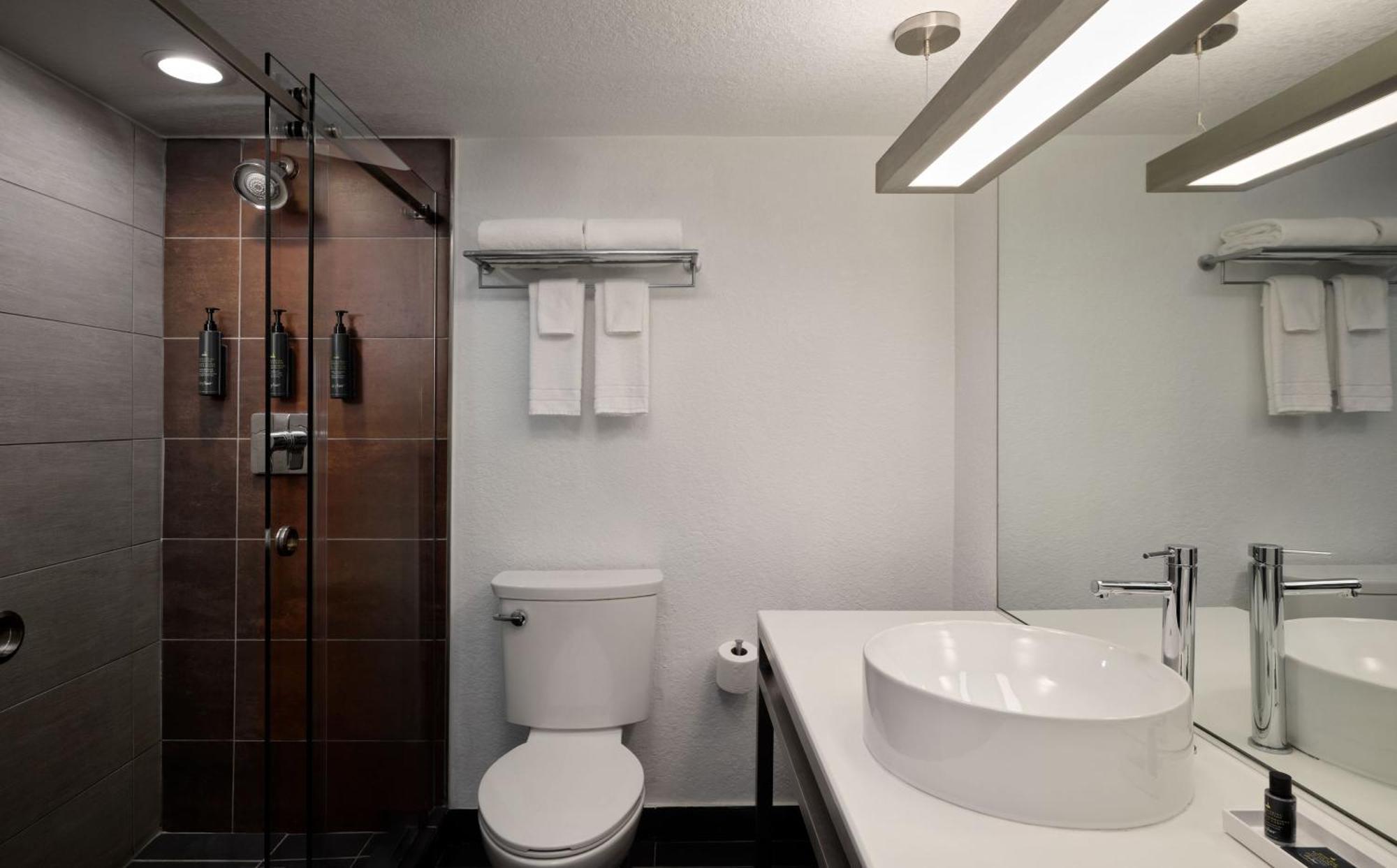 Double Room with Two Double Beds - Hearing Accessible,1592880885:JPEG
