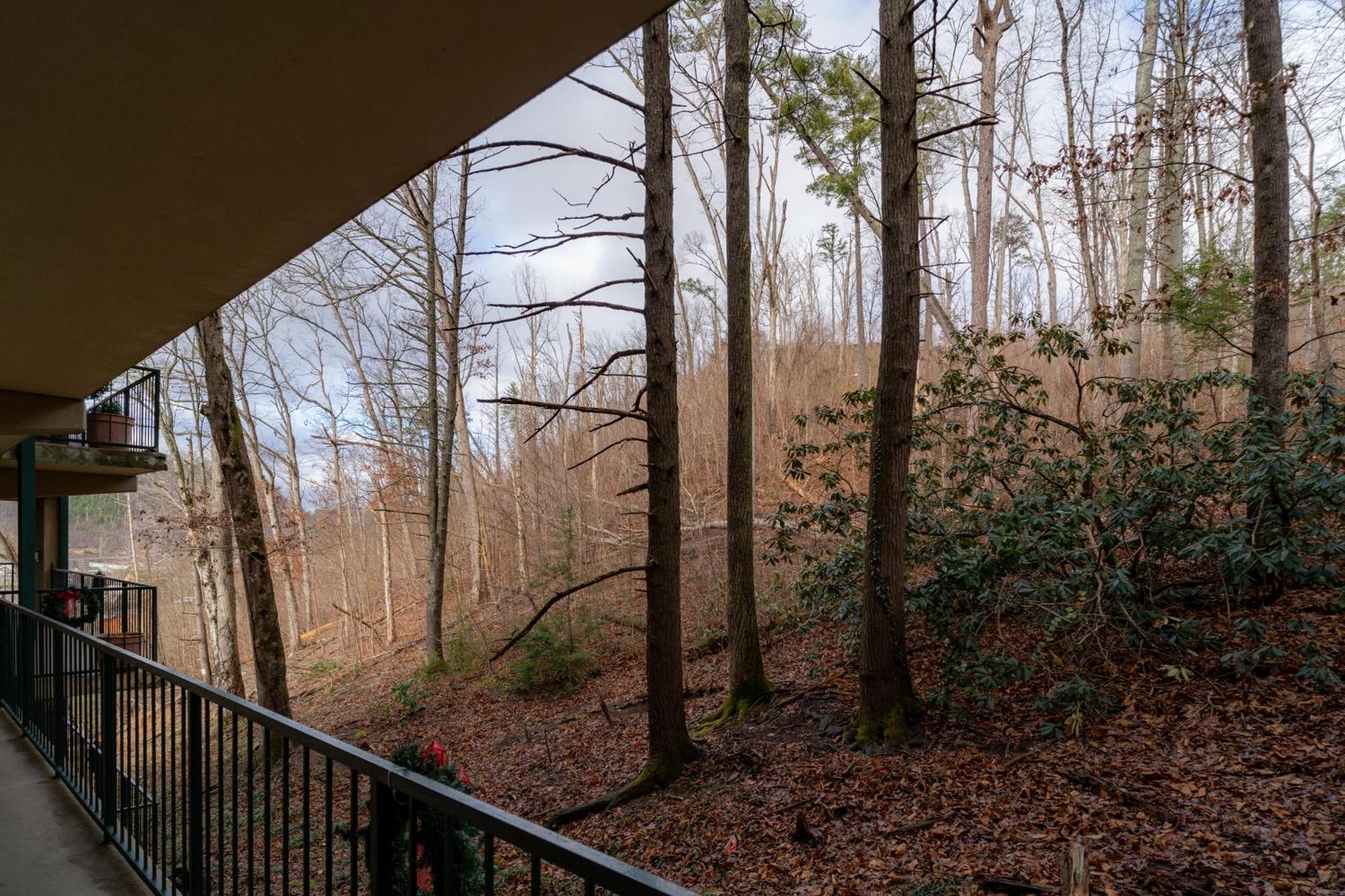 Apartment with Mountain View