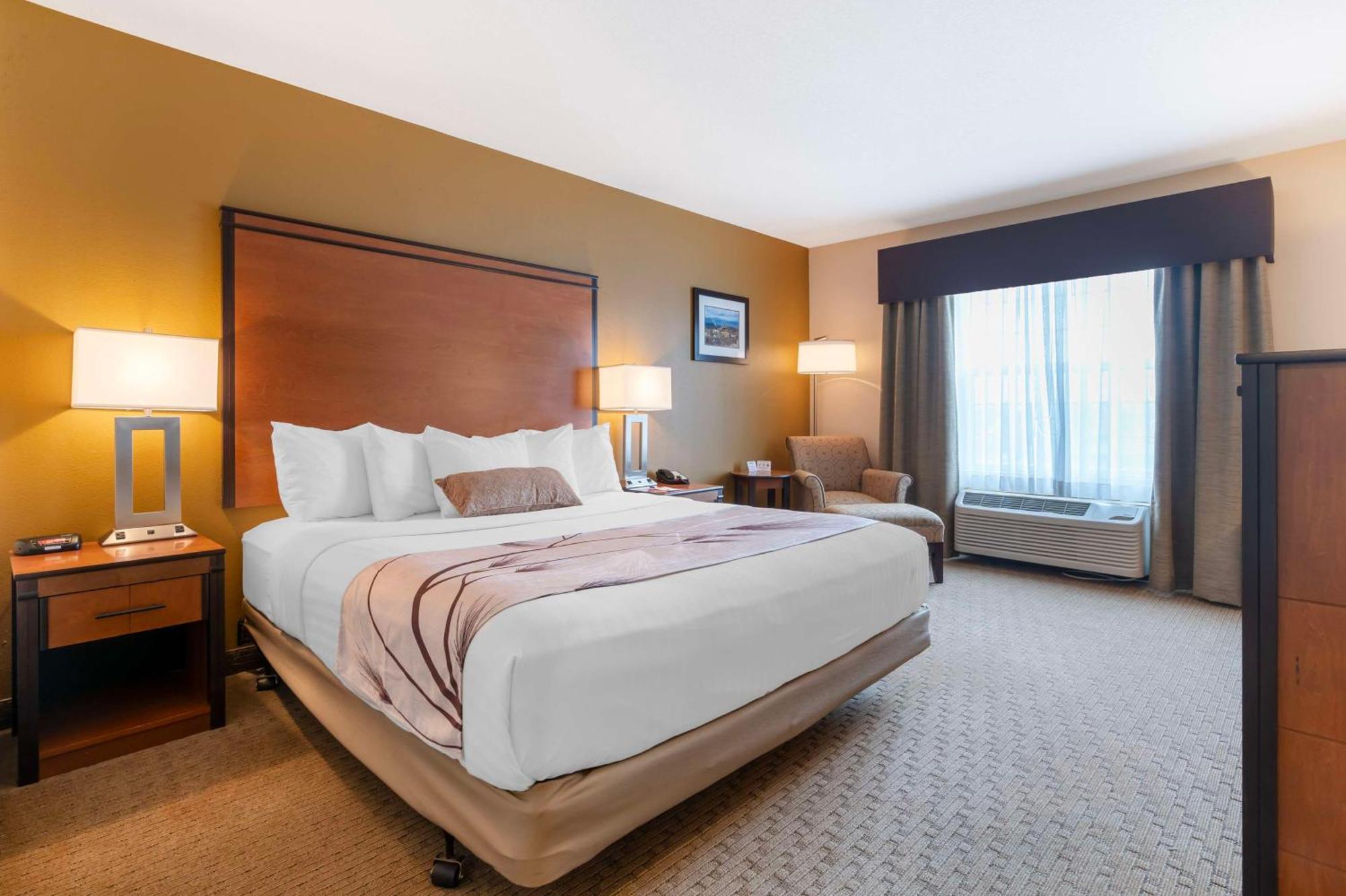 King Room with Mobility Accessible Roll-In Shower