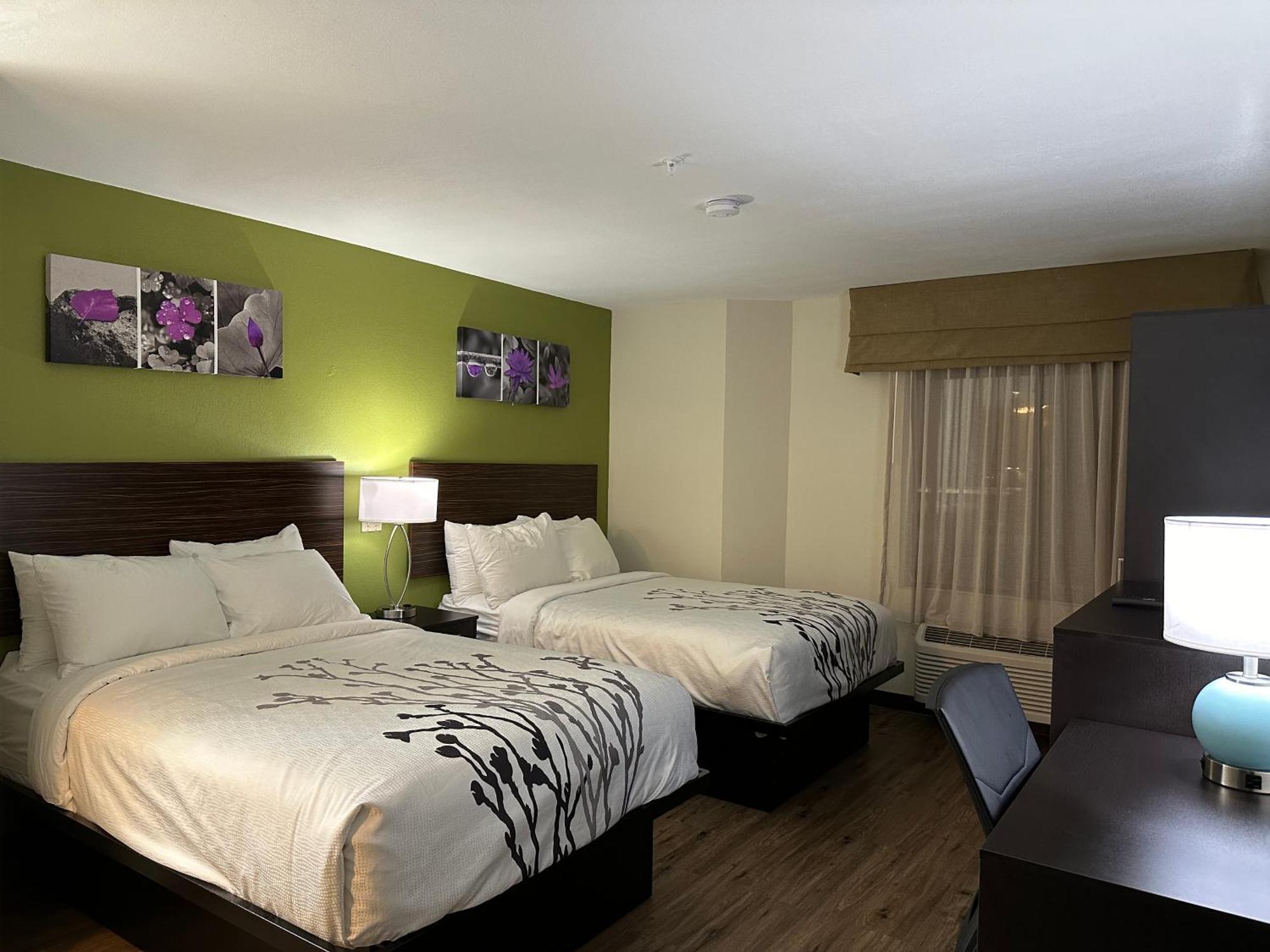 Double Room with Two Double Beds - Non-Smoking