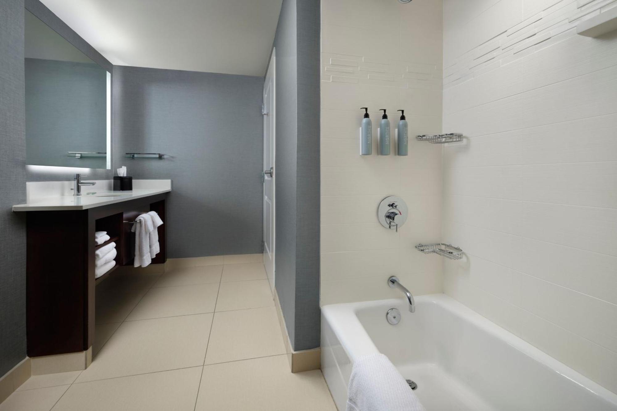 One-Bedroom King Suite