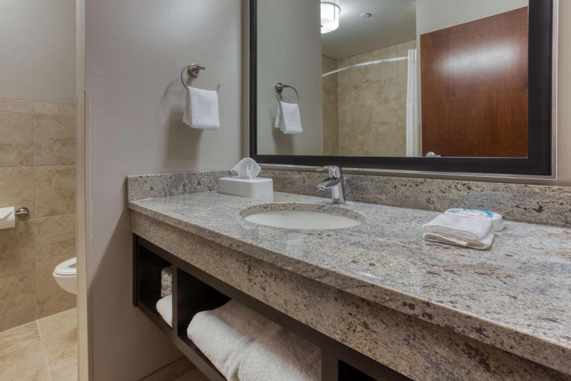 Deluxe King Room - Hearing Accessible, Shower