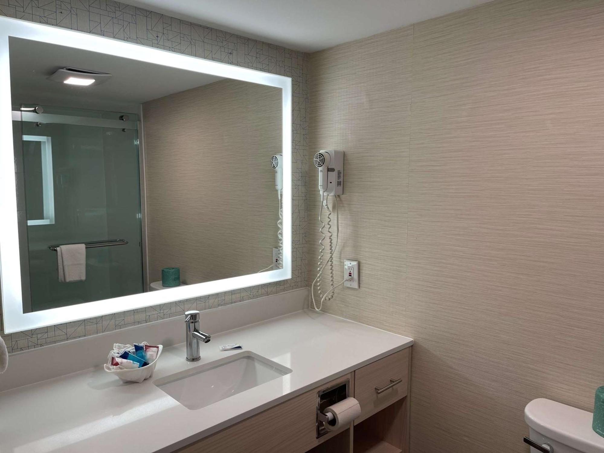 King Room (Not Pet-Friendly)