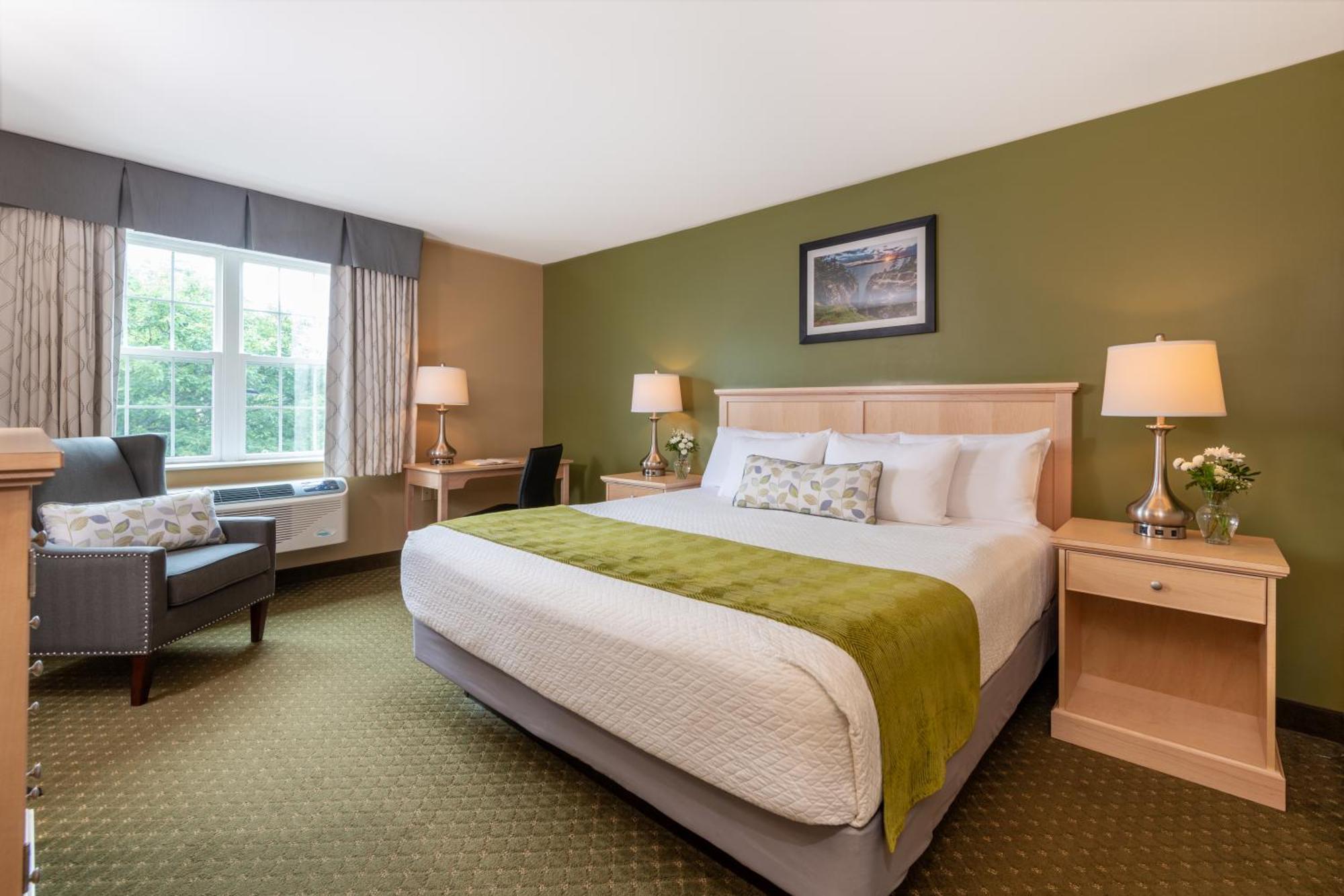 King Room - Disability Access,1548598279:JPEG