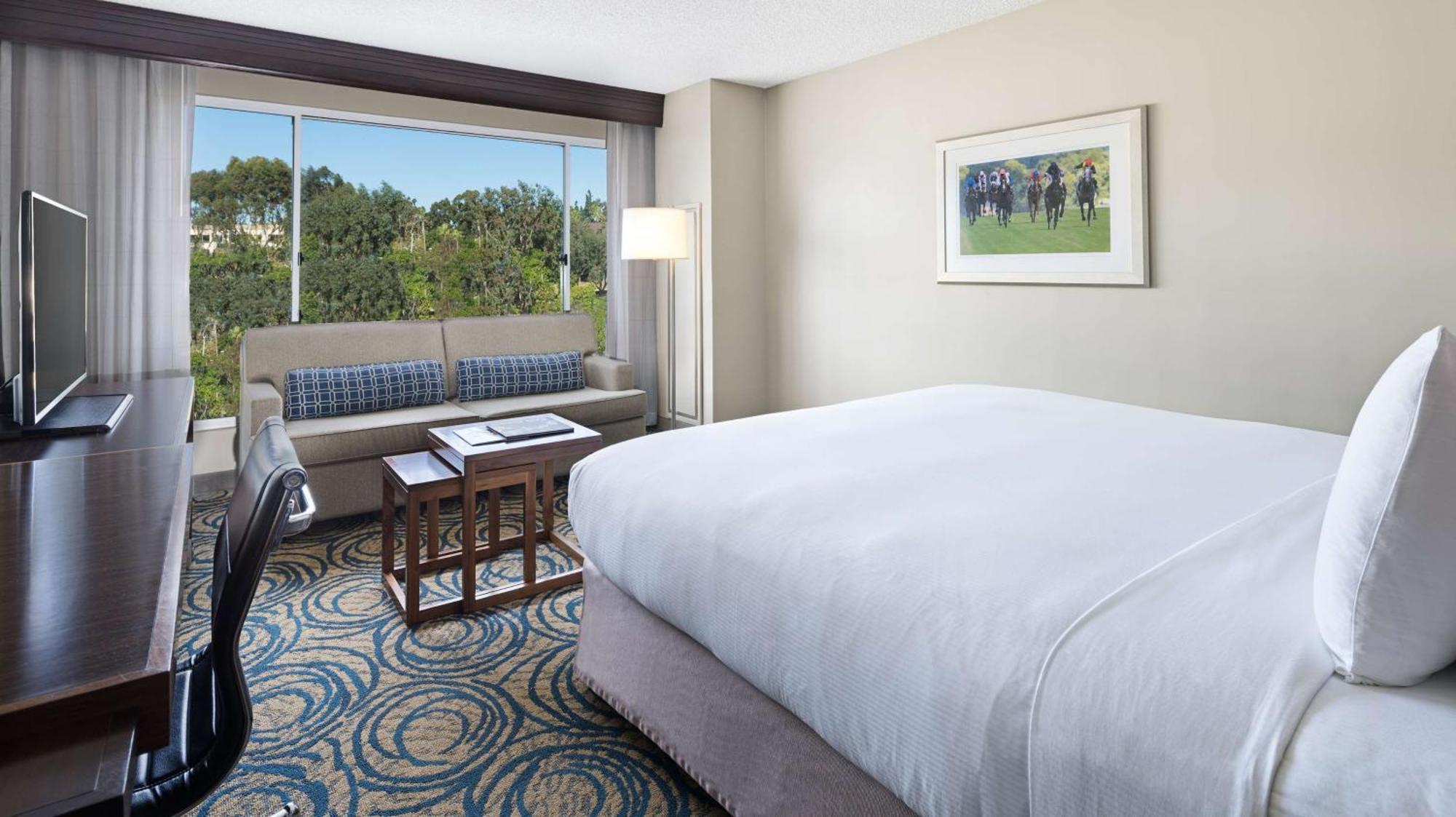 King Room with Sofa Bed and Pool View,1574702396:JPEG