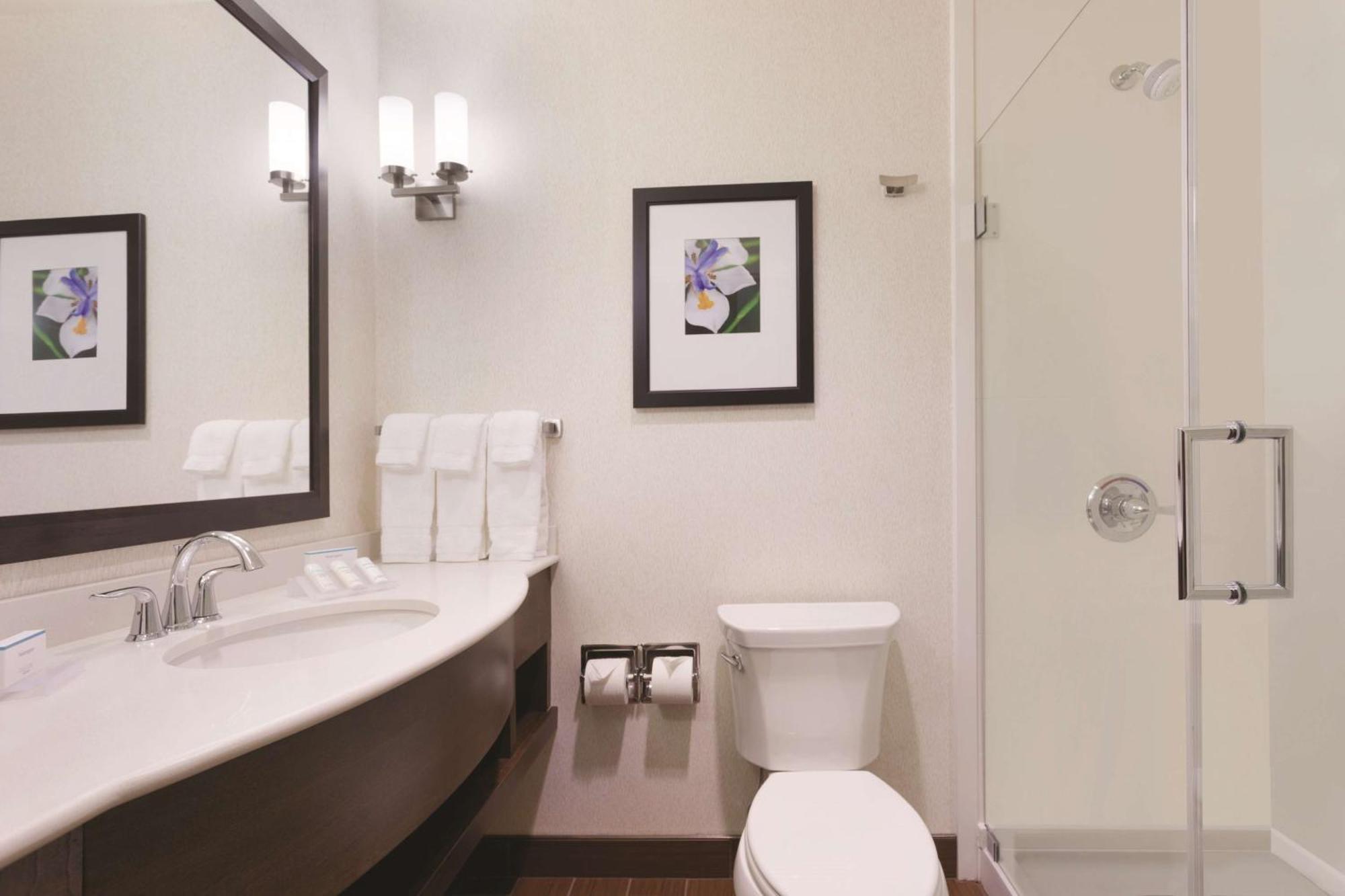 King Room with Sofa Bed,1551270139:JPEG