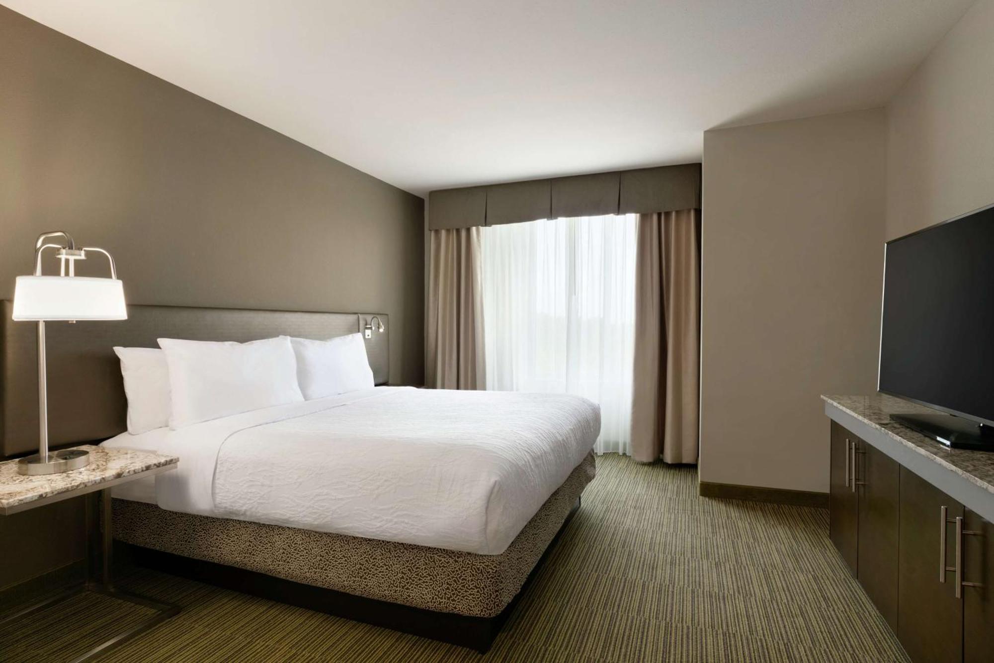 Junior King Suite with Sofa Bed