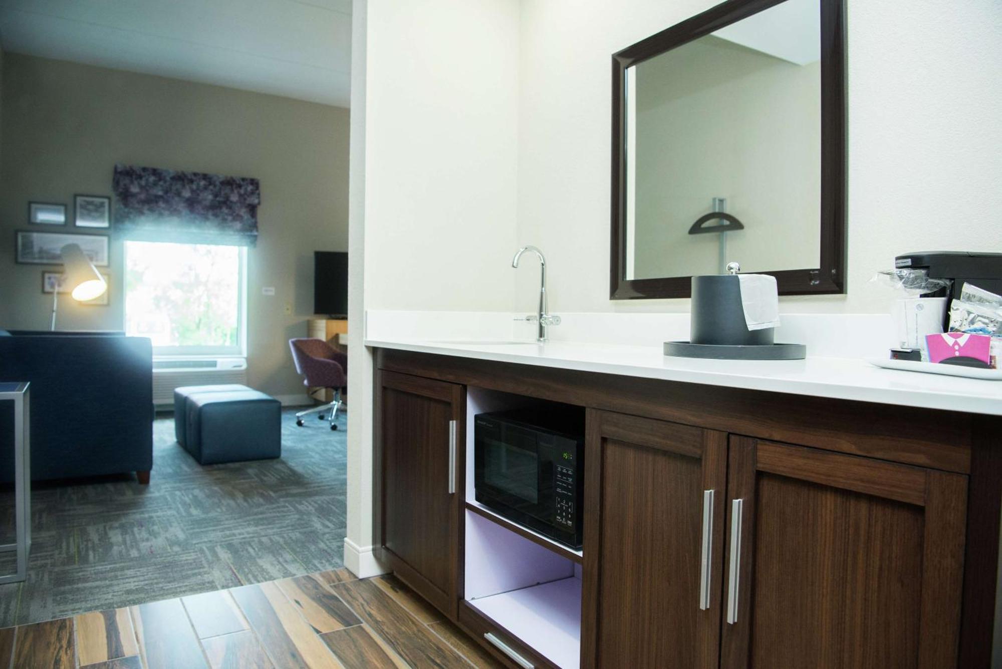 King Studio Suite with Sofa Bed