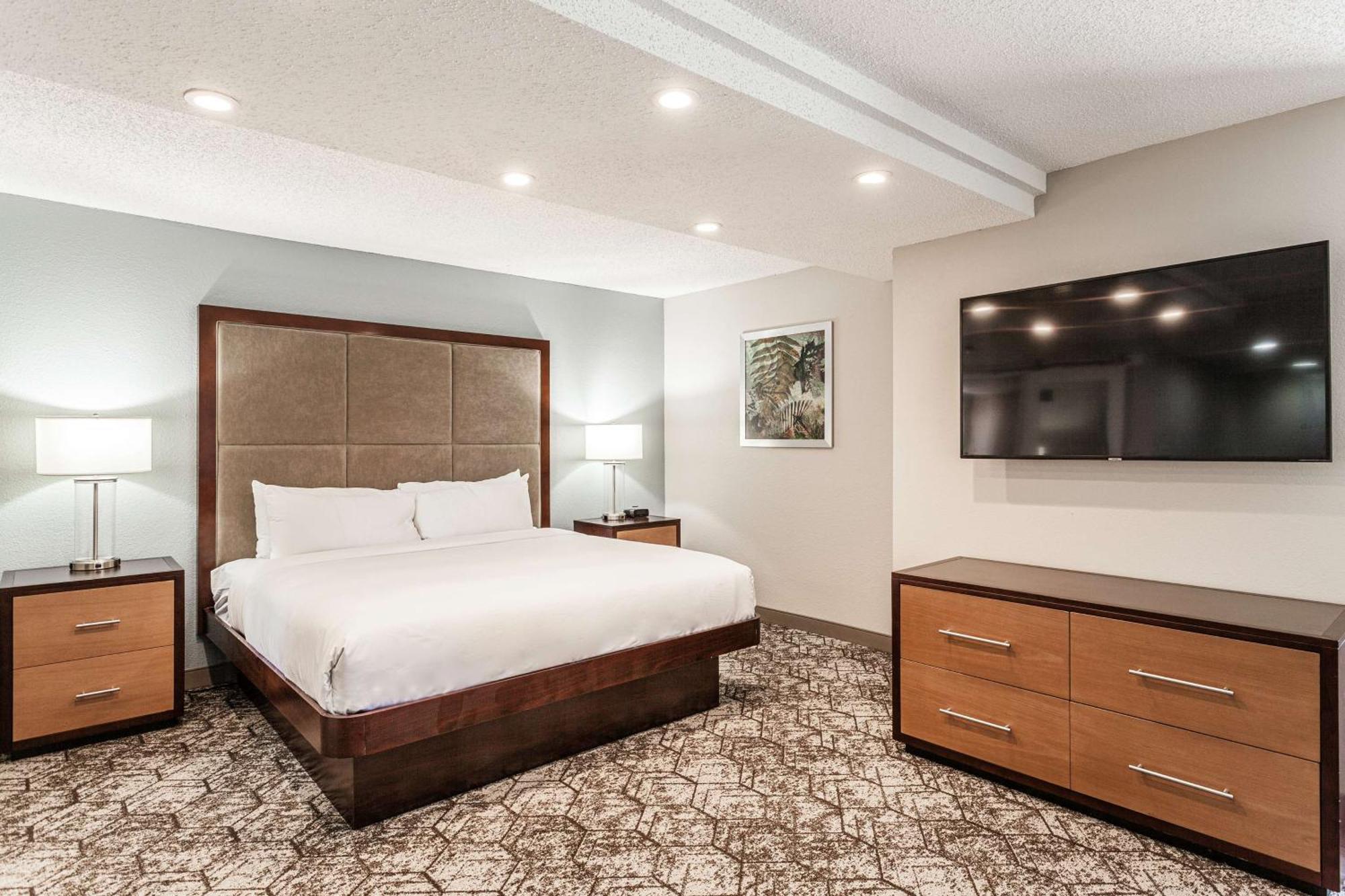 Junior King Suite with Sofa Bed - Non-Smoking,1551443647:JPEG