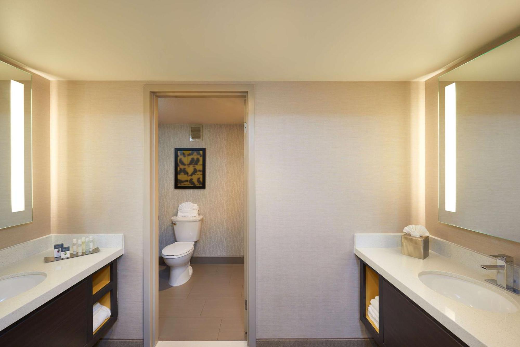 King Luxury Suite