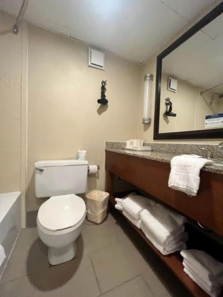 King Room - Non-Smoking